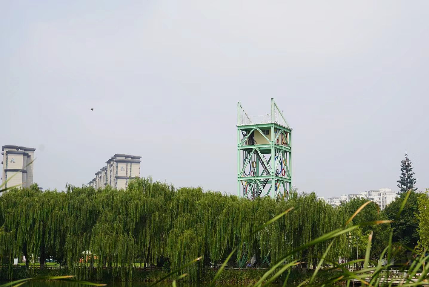 清丰亭旅行图片 3