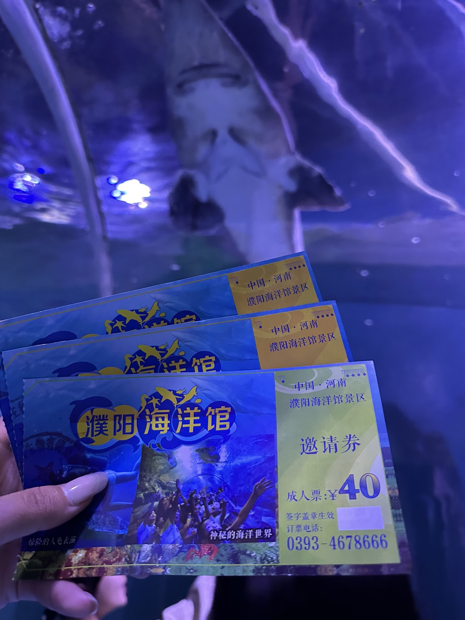 濮阳海洋馆旅行图片 2