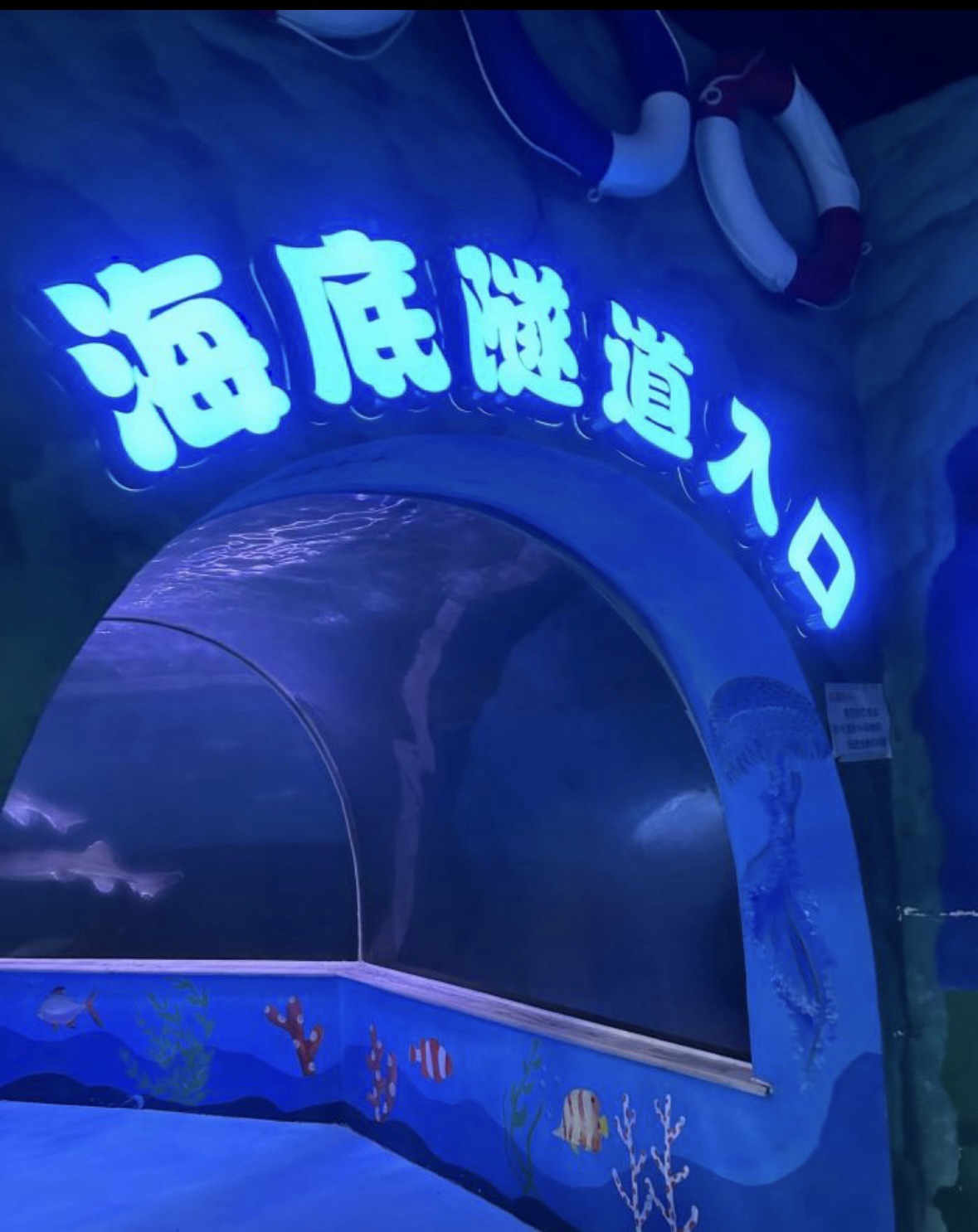 濮阳海洋馆旅行图片 1