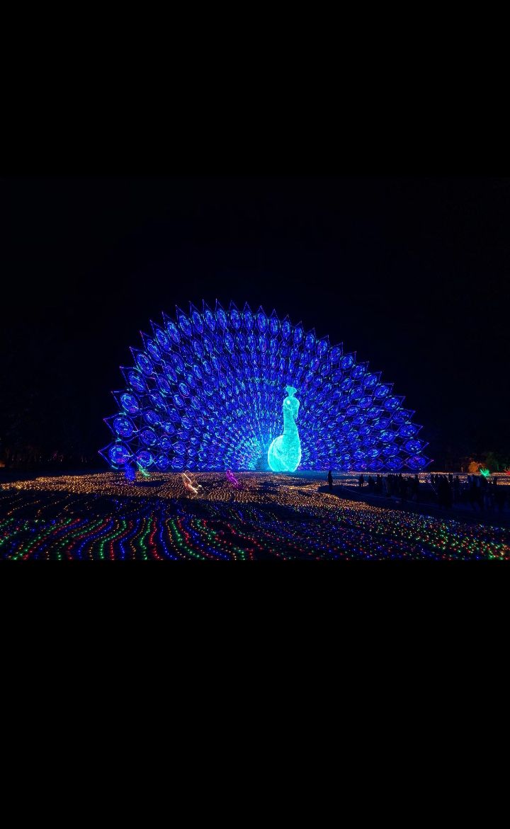 中原绿色庄园旅行图片 1