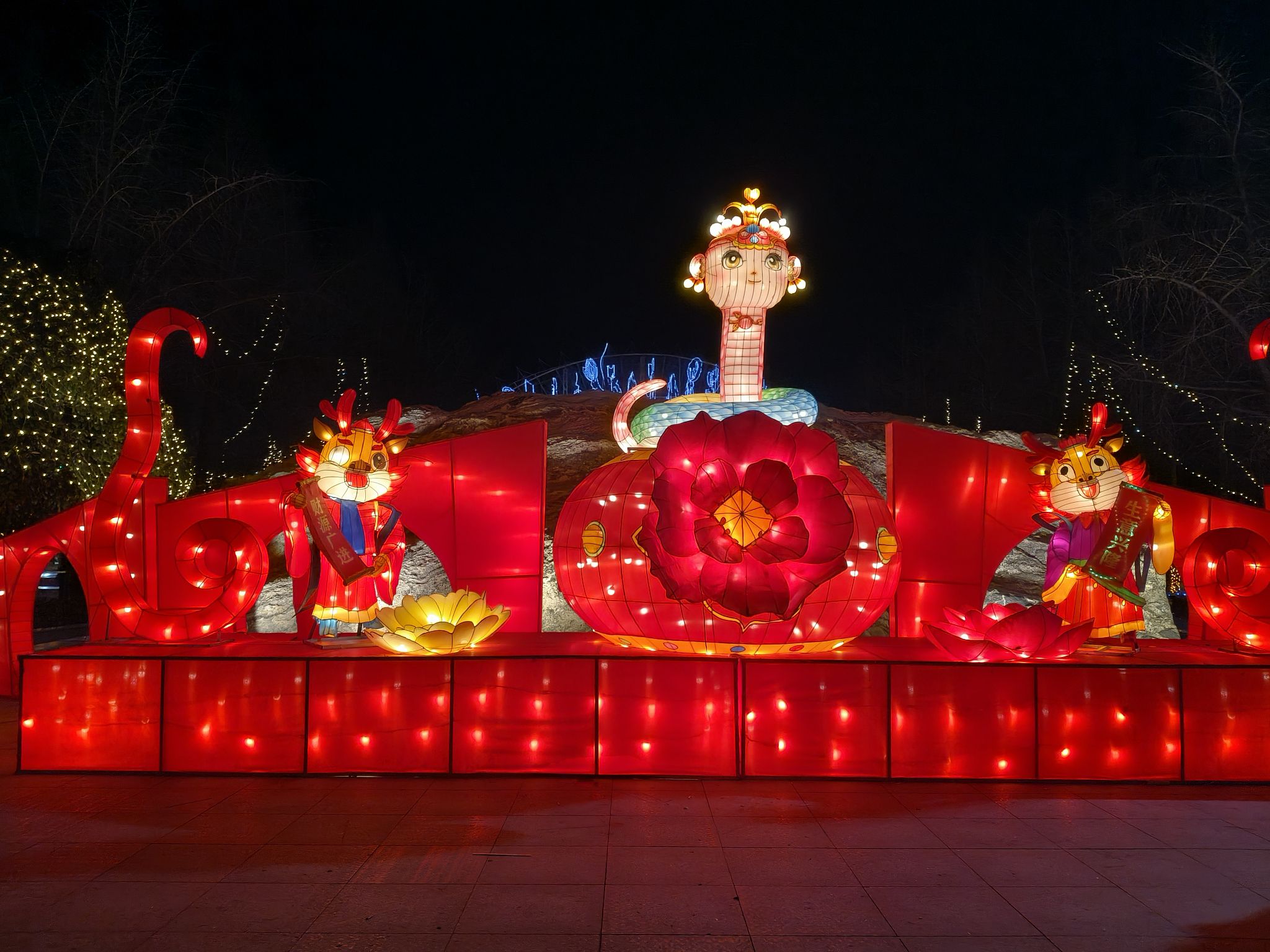 中原绿色庄园旅行图片 3