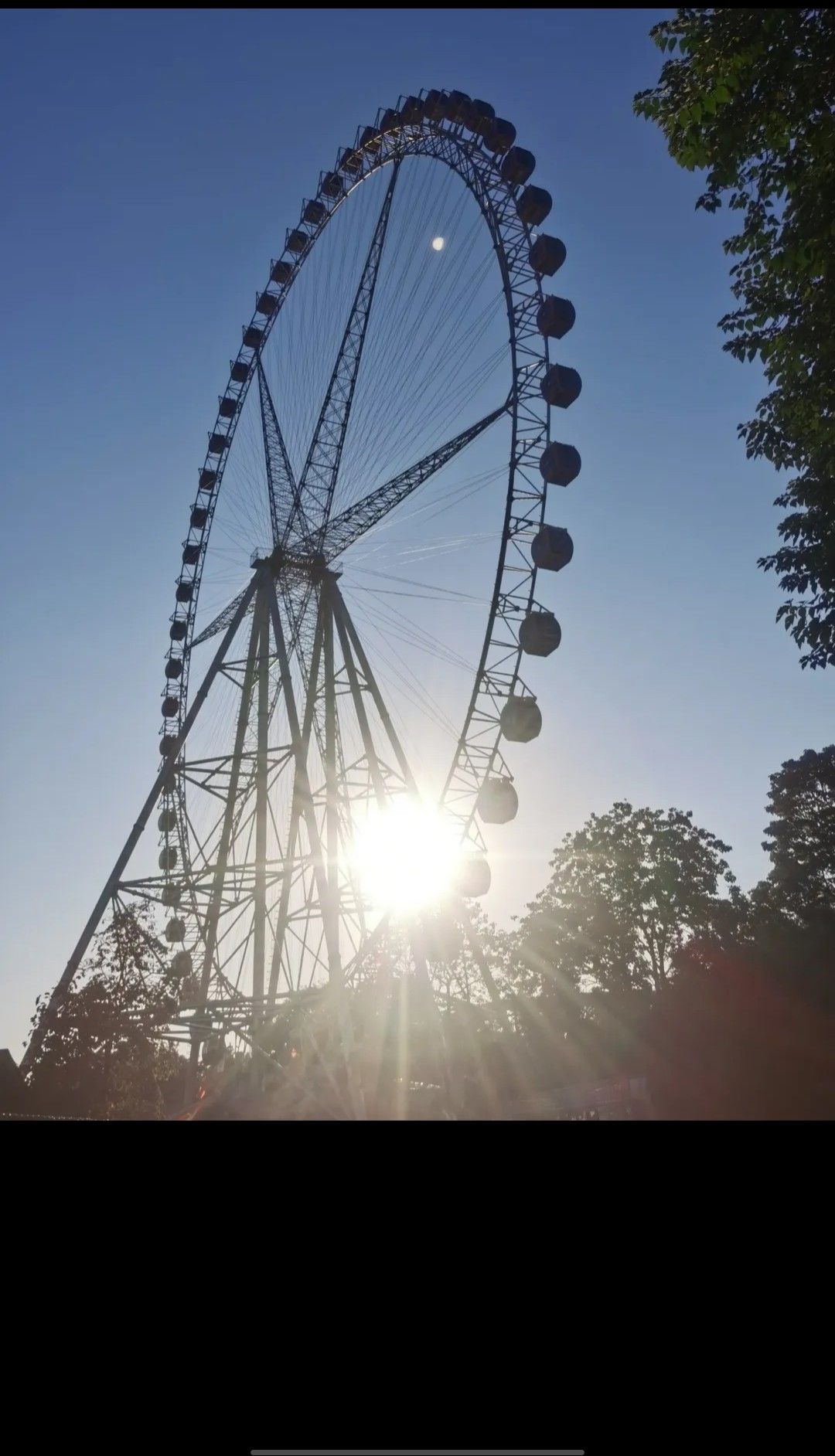 中原绿色庄园旅行图片 3