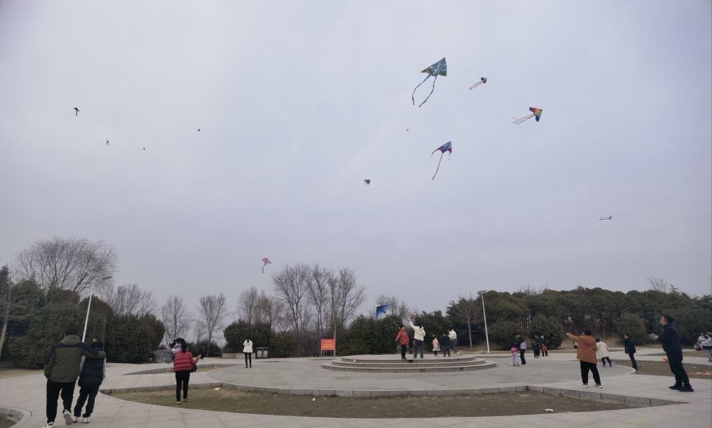西环公园旅行图片 2