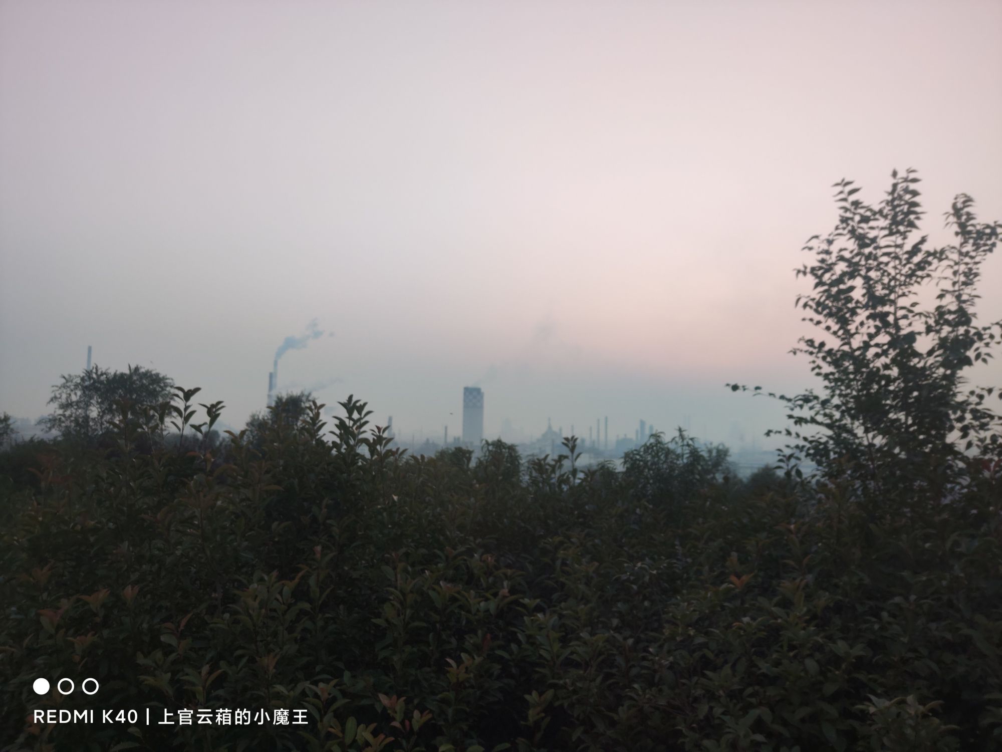 西环公园旅行图片 1