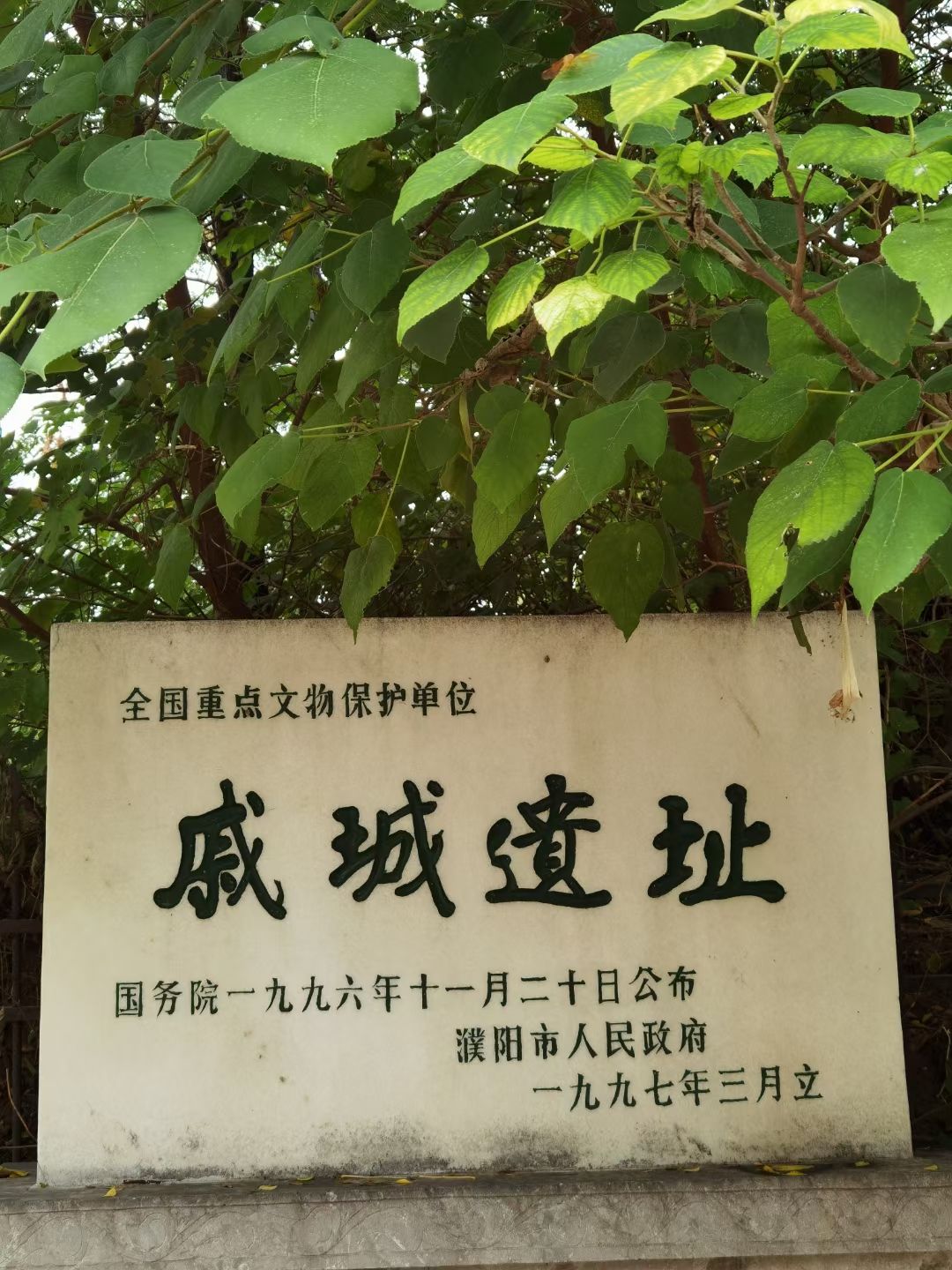 戚城文物景区-戚城遗址旅行图片 1