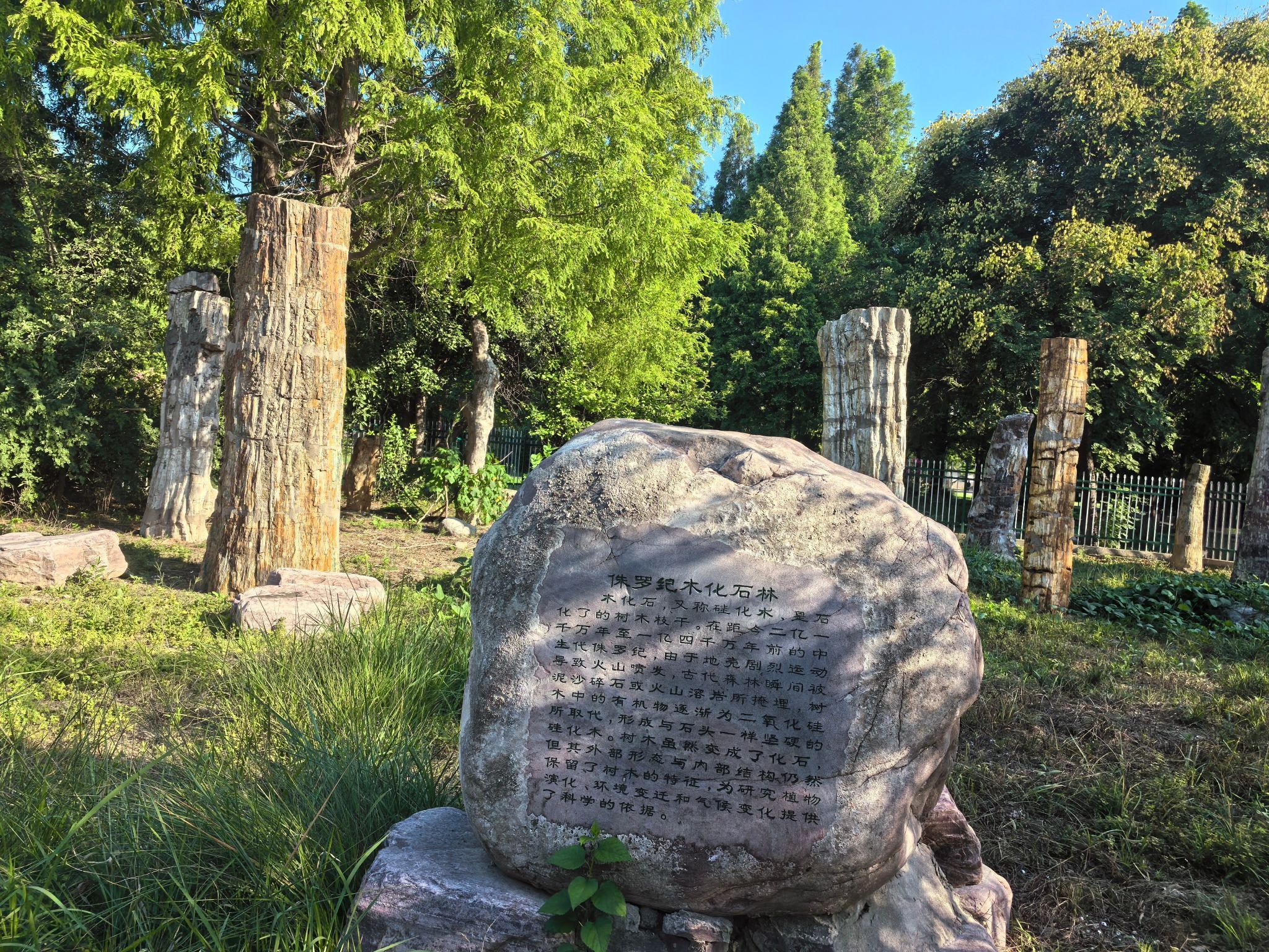 戚城考古遗址公园旅行图片 1