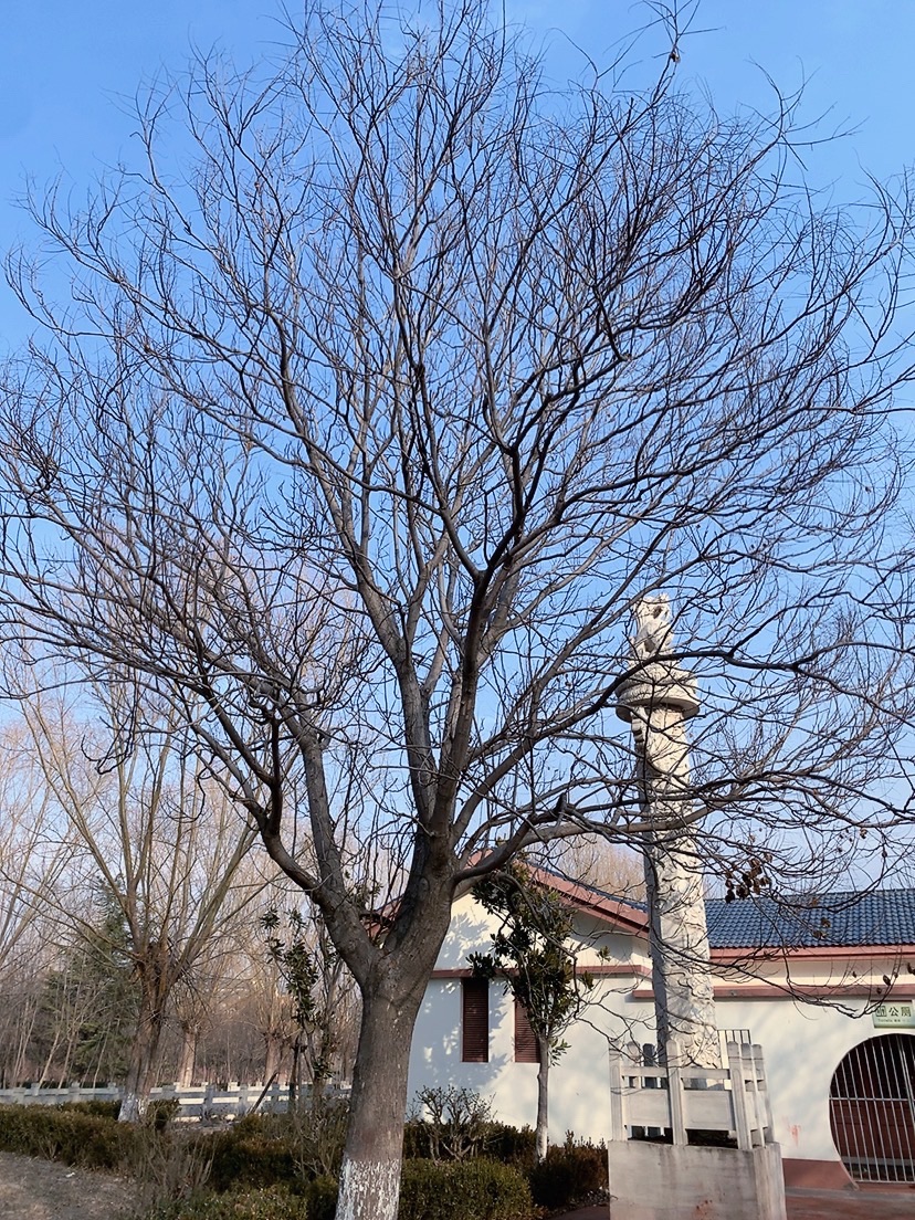 挥公园旅行图片 3