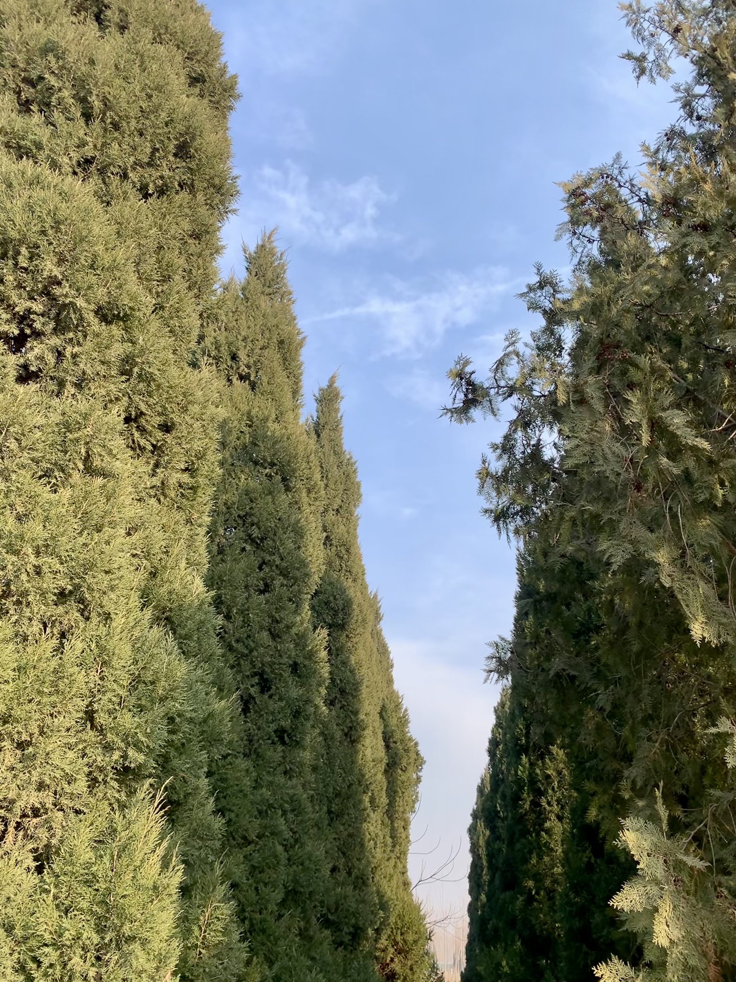 挥公园旅行图片 2