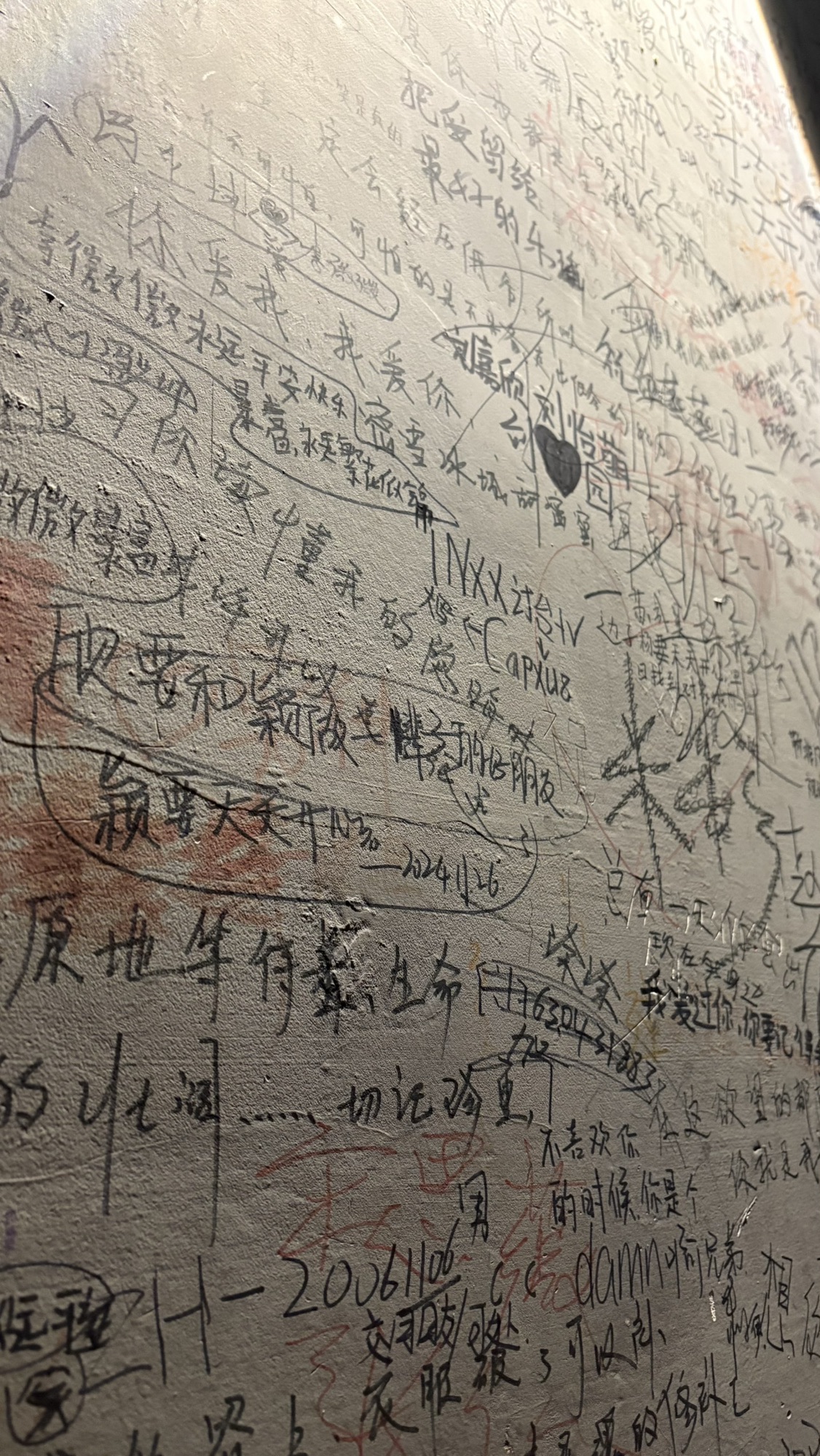 挥公园旅行图片 1