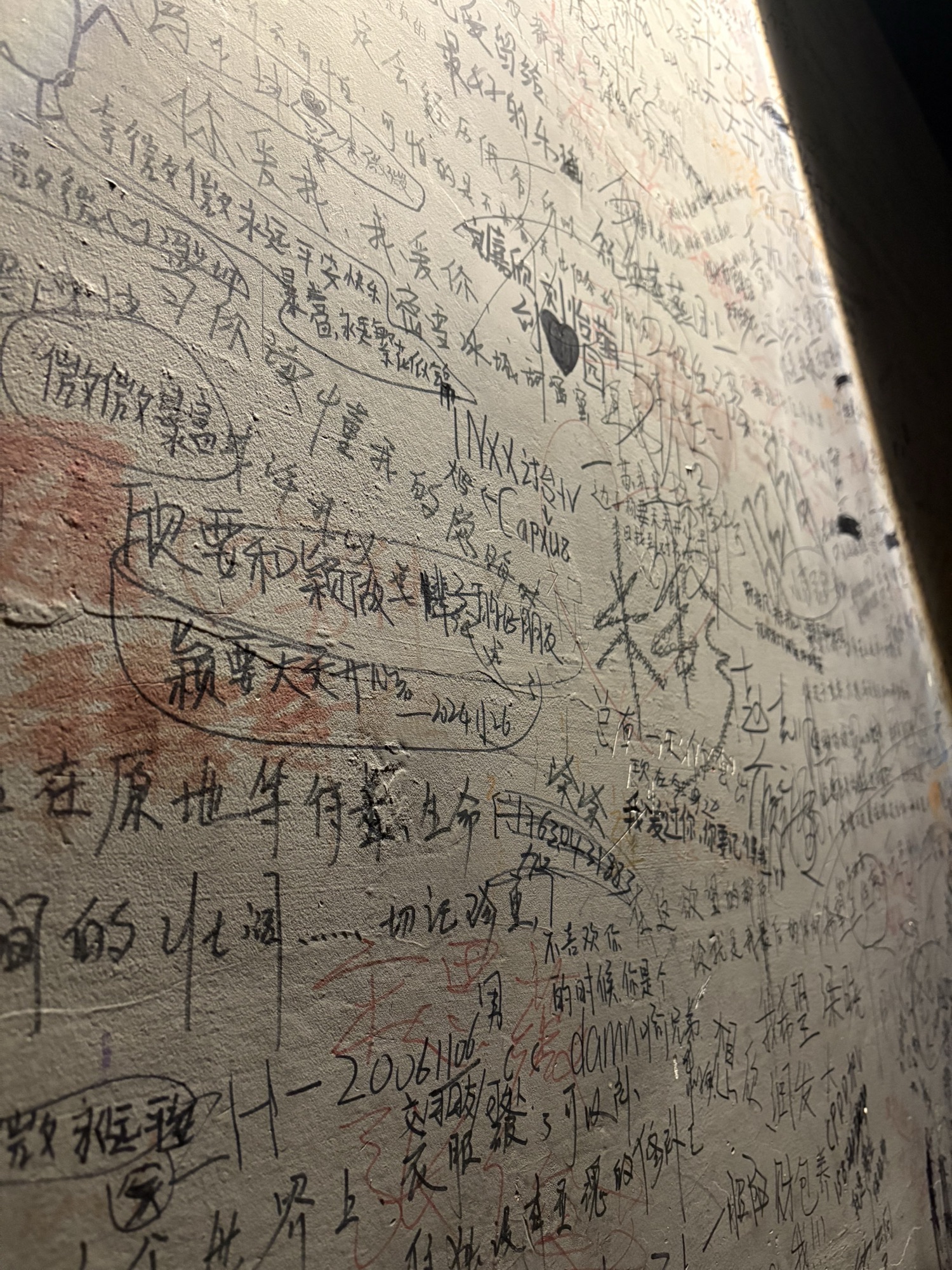 挥公园旅行图片 2