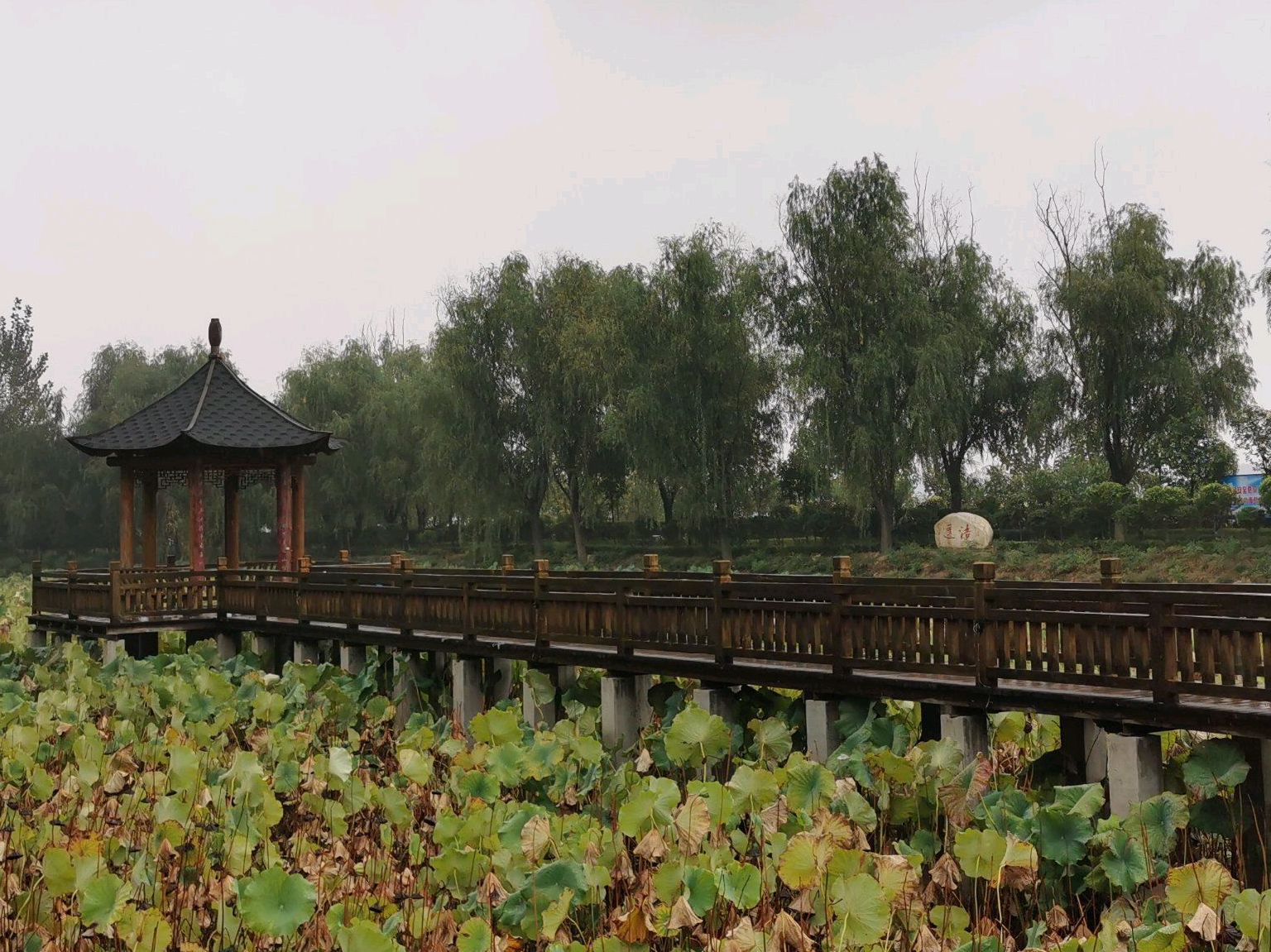 毛楼生态旅游景区旅行图片 1