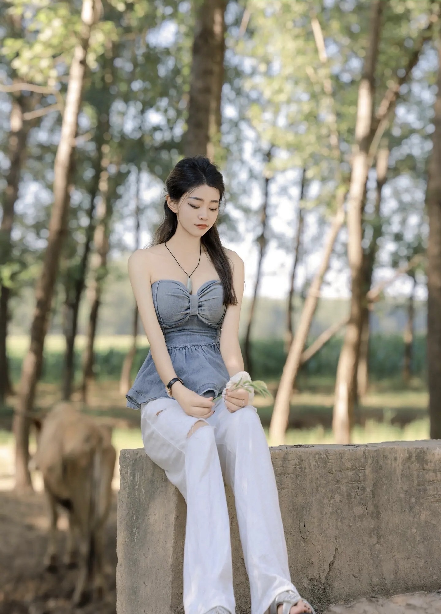毛楼生态旅游景区旅行图片 1