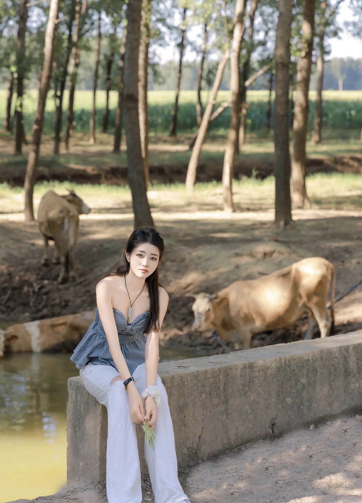 毛楼生态旅游景区旅行图片 3