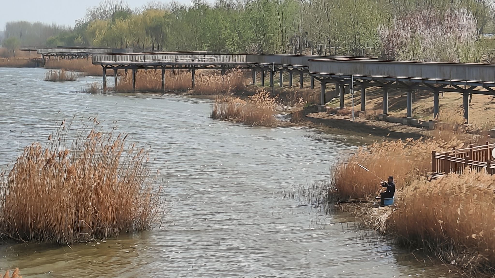 金堤河公园旅行图片 2