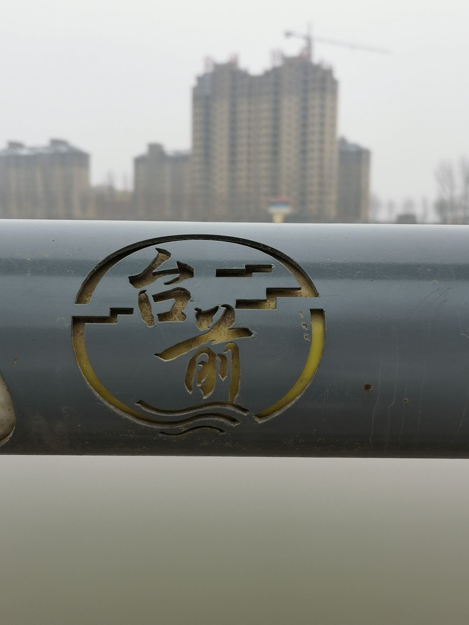 金堤河公园旅行图片 3