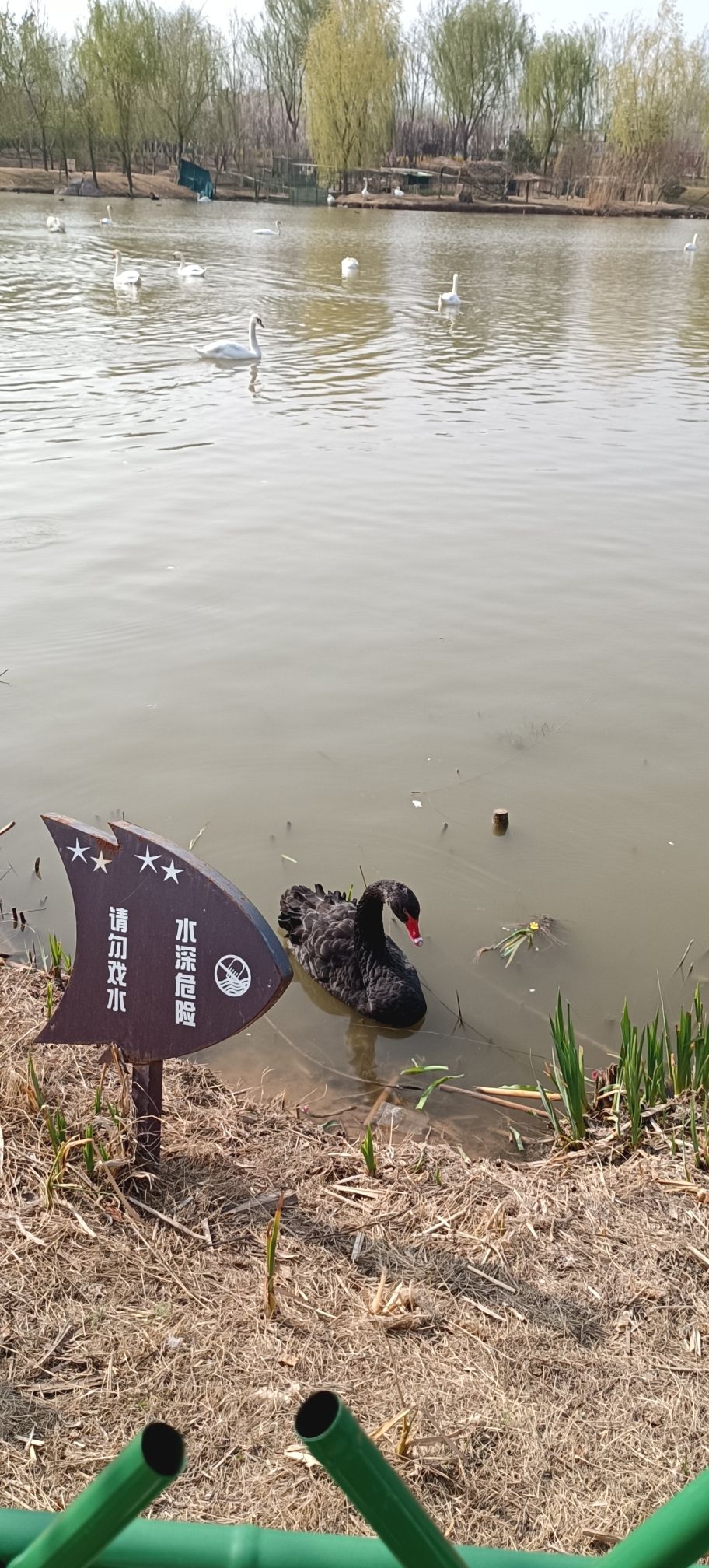 金堤河公园旅行图片 2