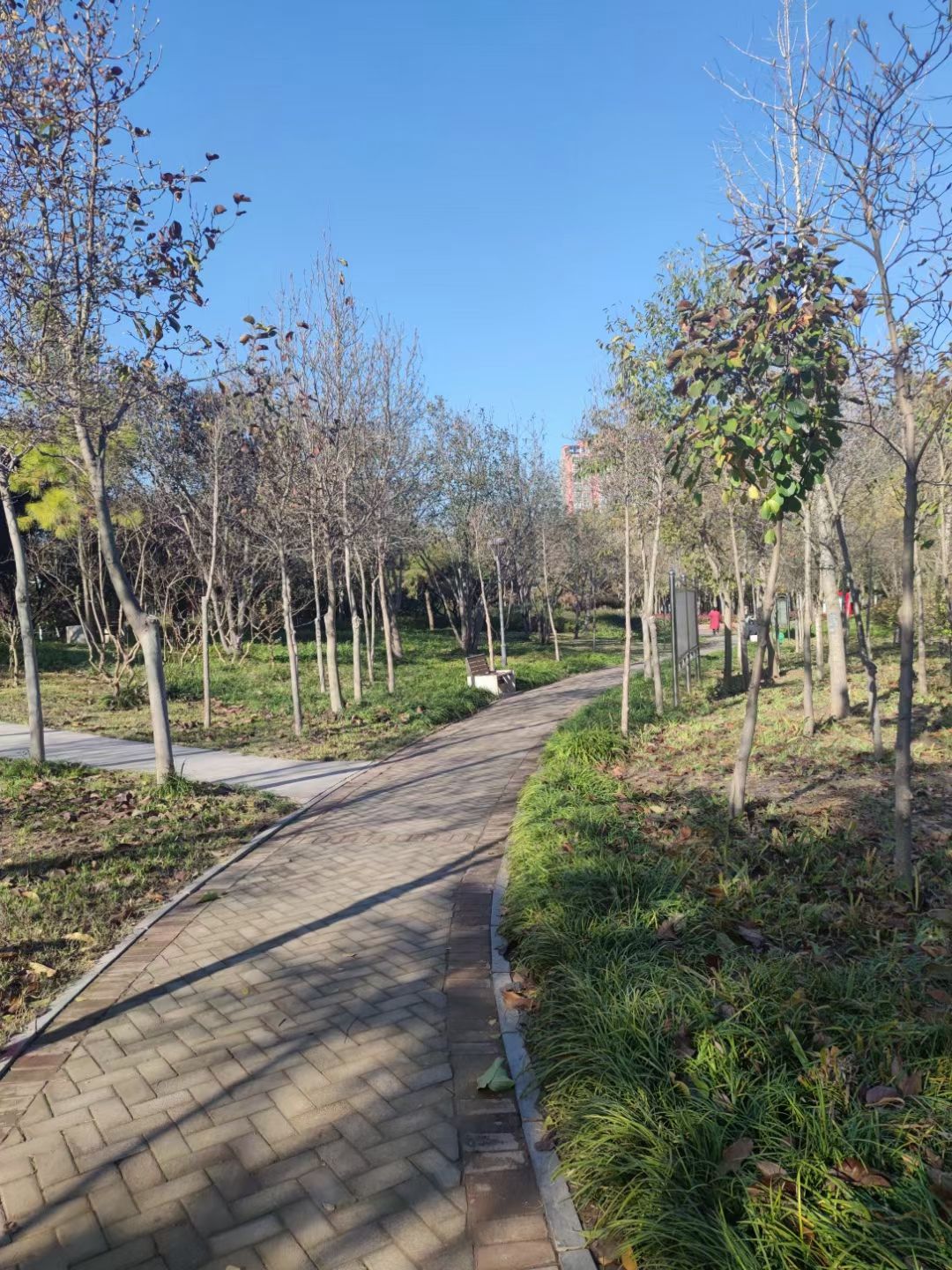 颐和广场旅行图片 2