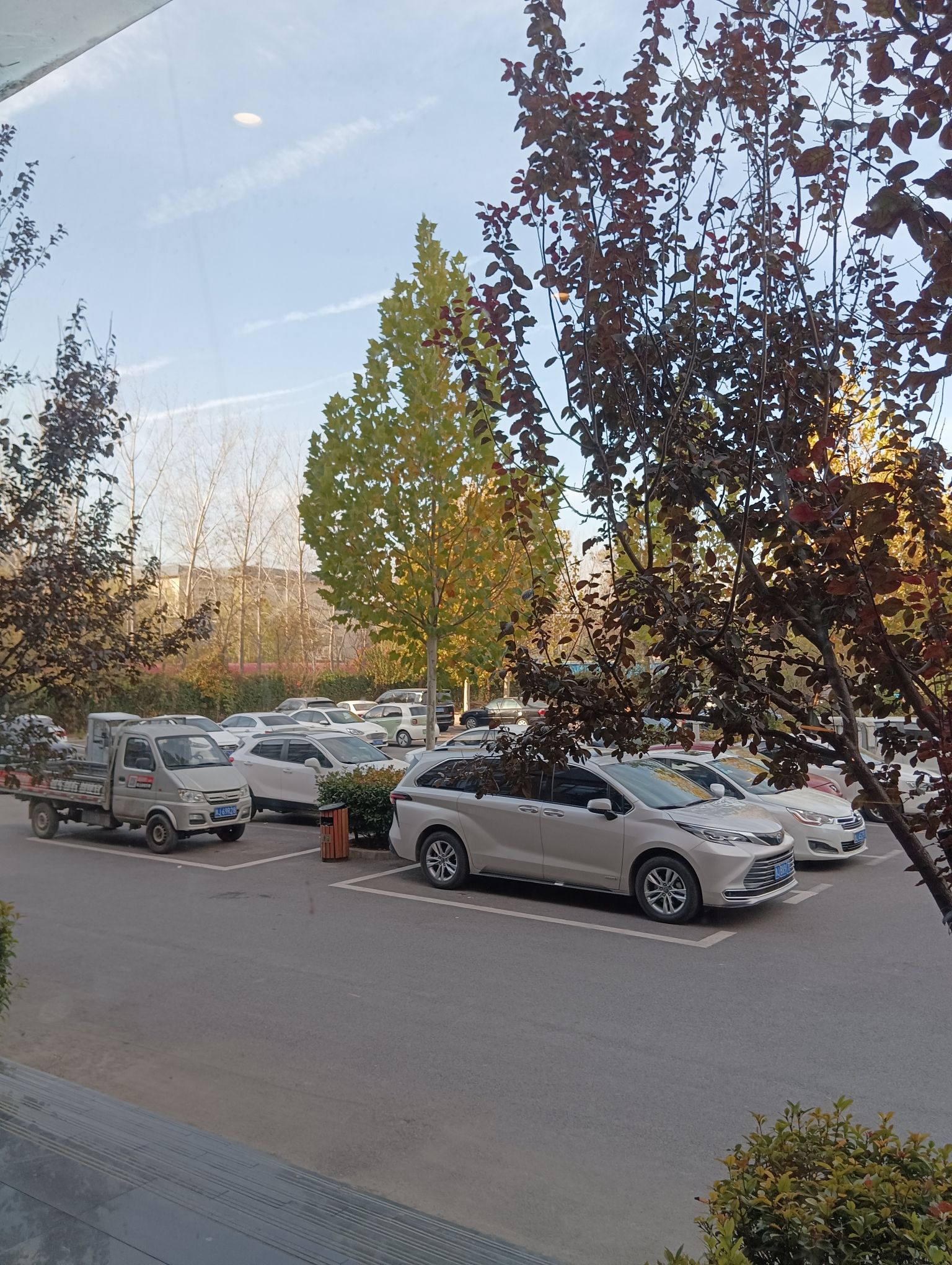 颐和广场旅行图片 3