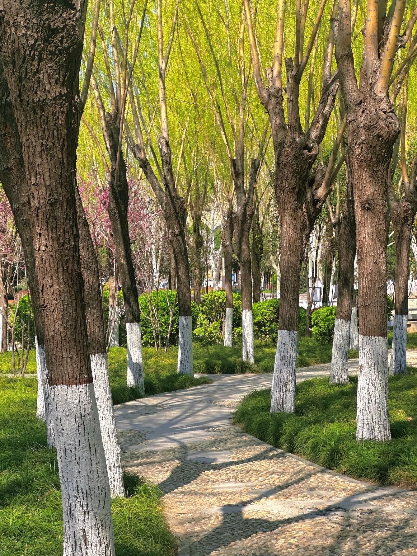 周口人民公园