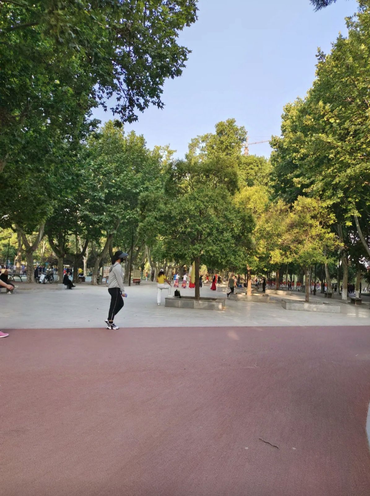 周口人民公园旅行图片 2