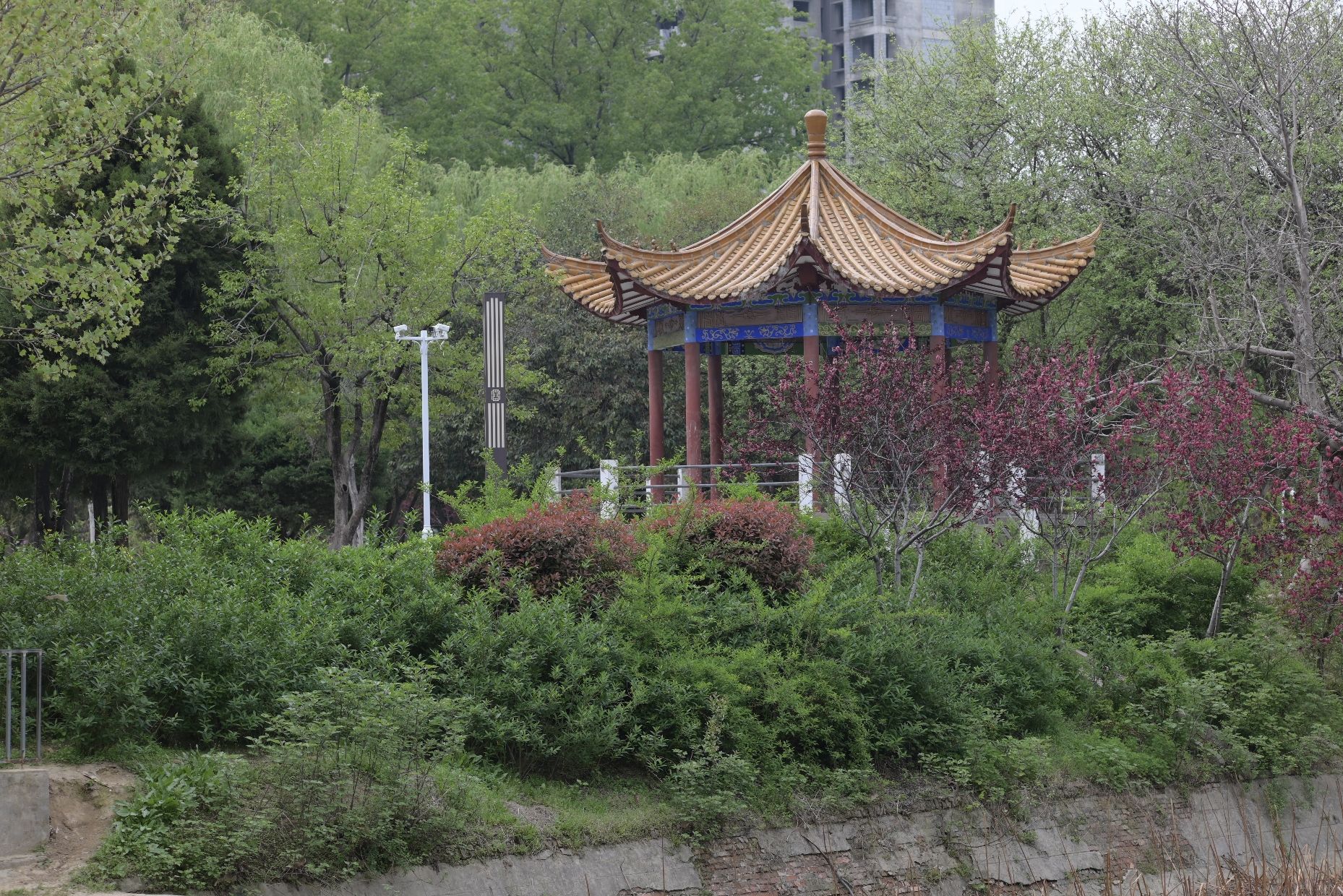 周口人民公园旅行图片 2