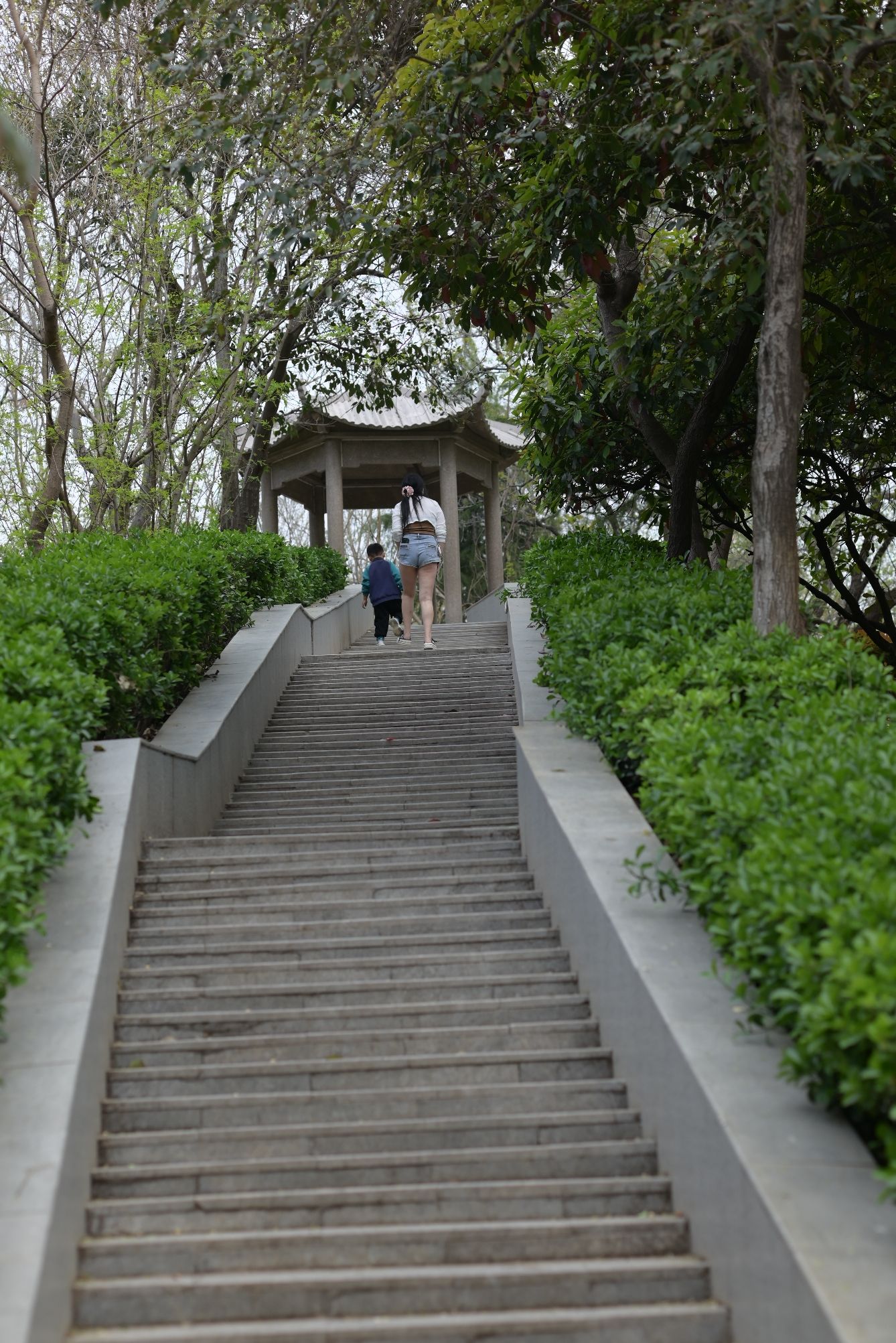 周口人民公园旅行图片 3