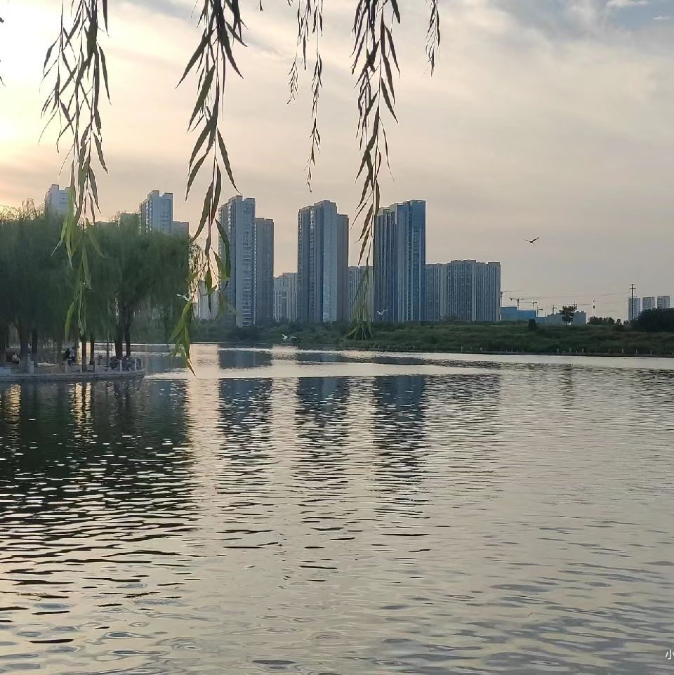 滨河公园旅行图片 2
