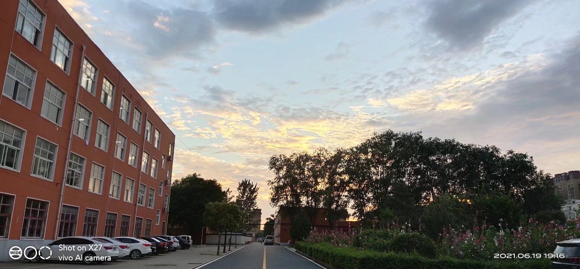 周口中英文学校