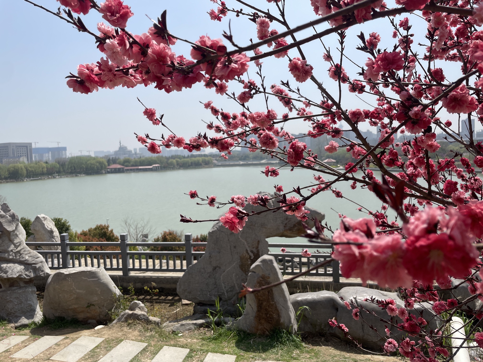 周口公园旅行图片 2