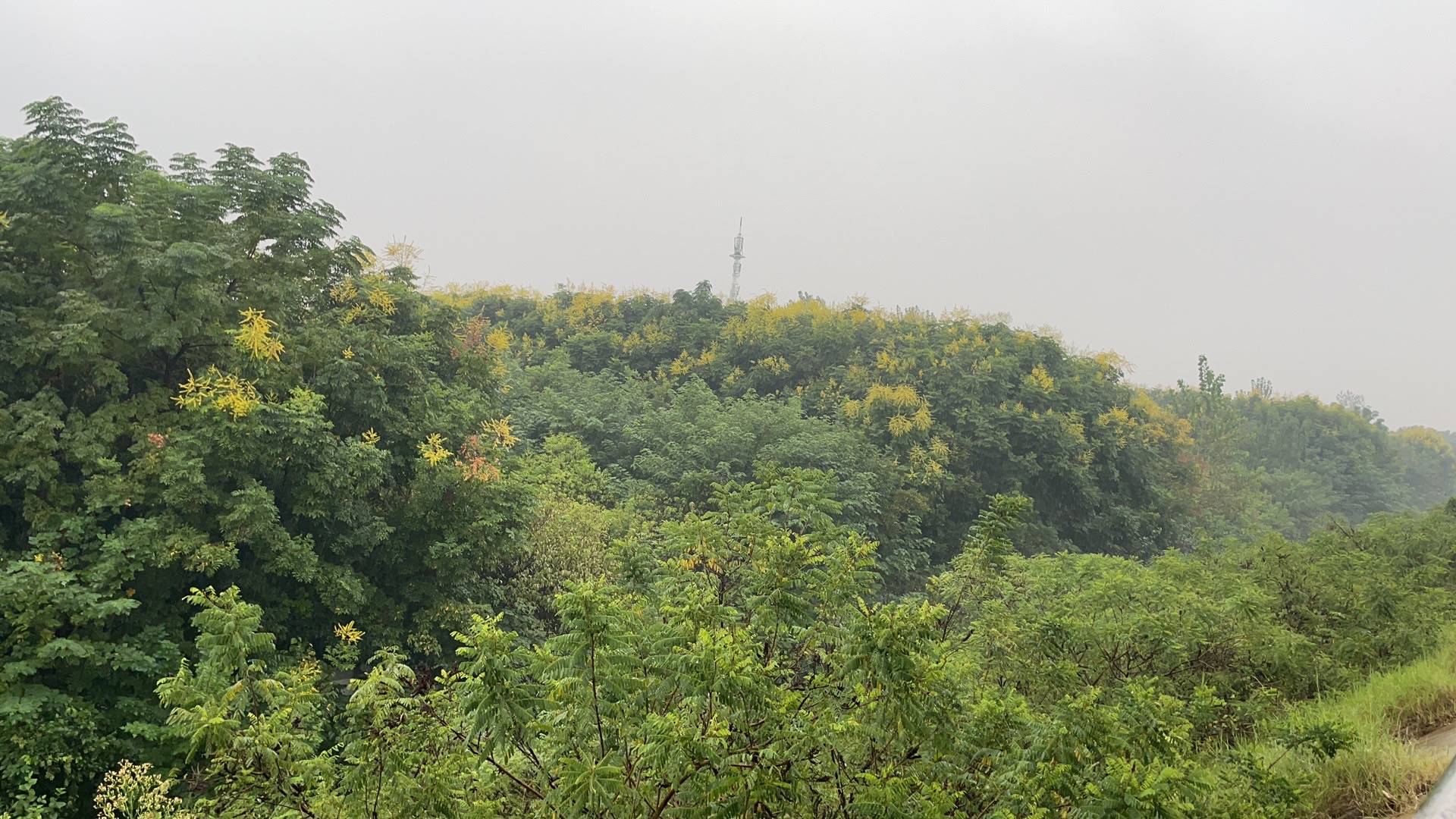 阳城公园旅行图片 2