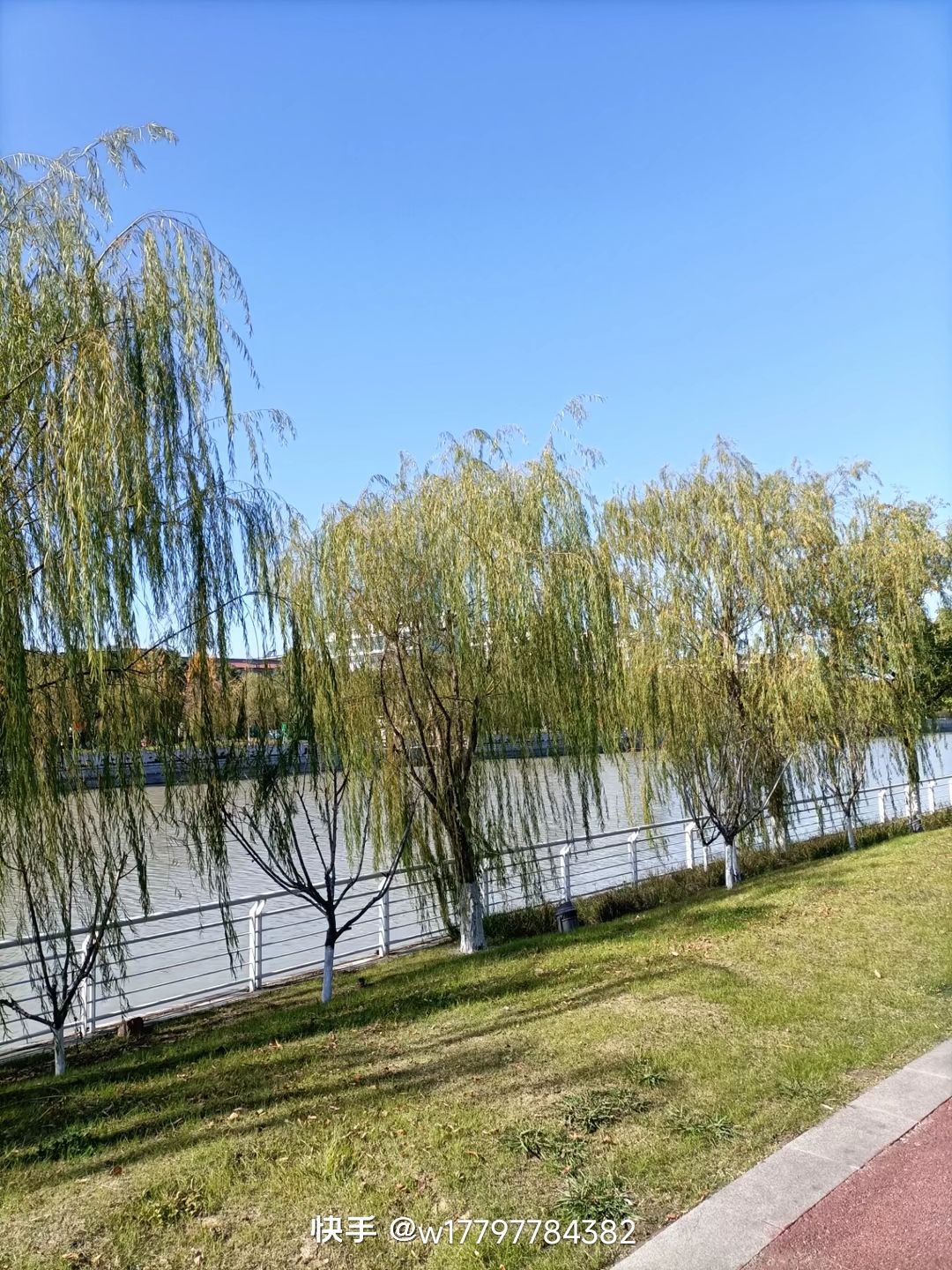 郸城县人民公园旅行图片 3