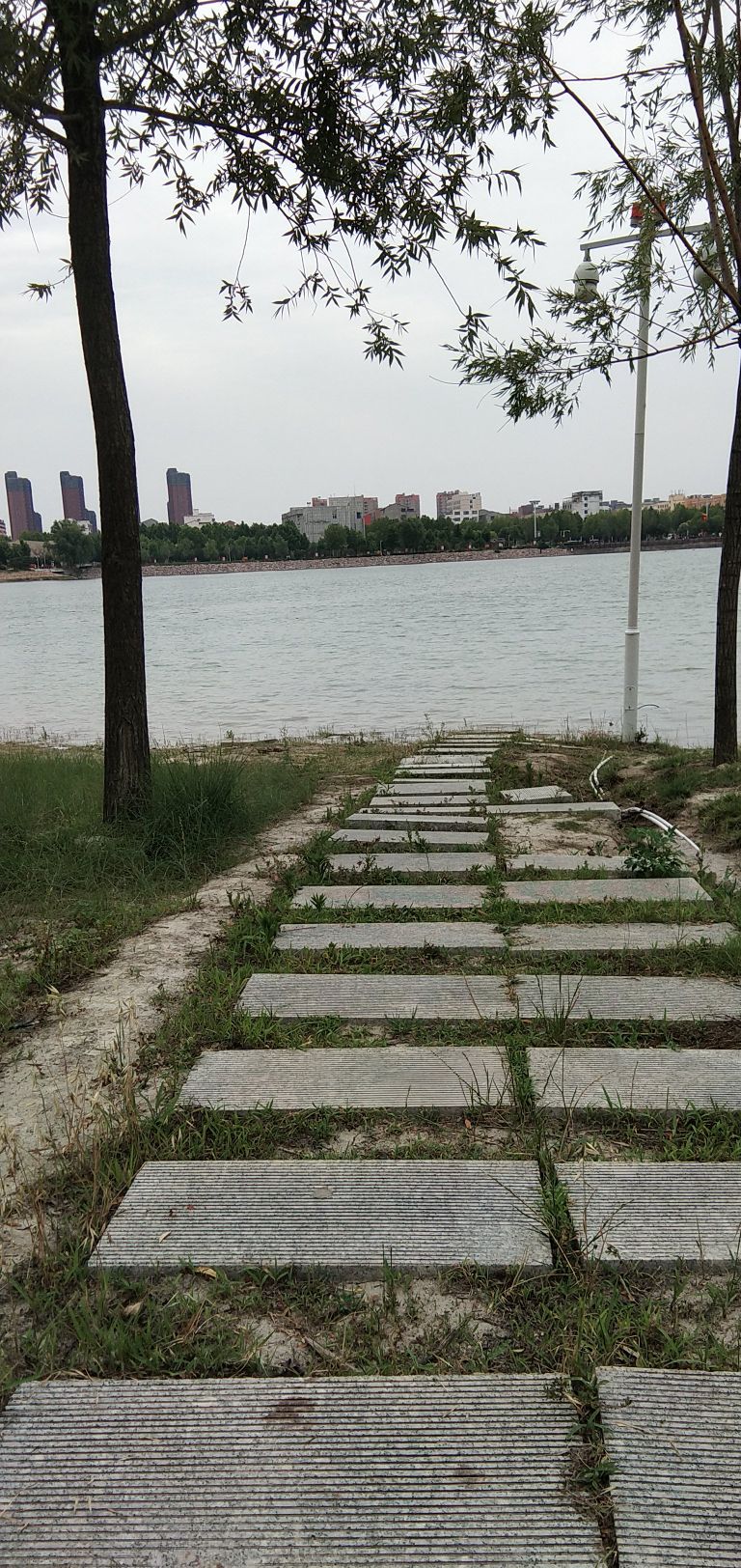郸城县人民公园旅行图片 1