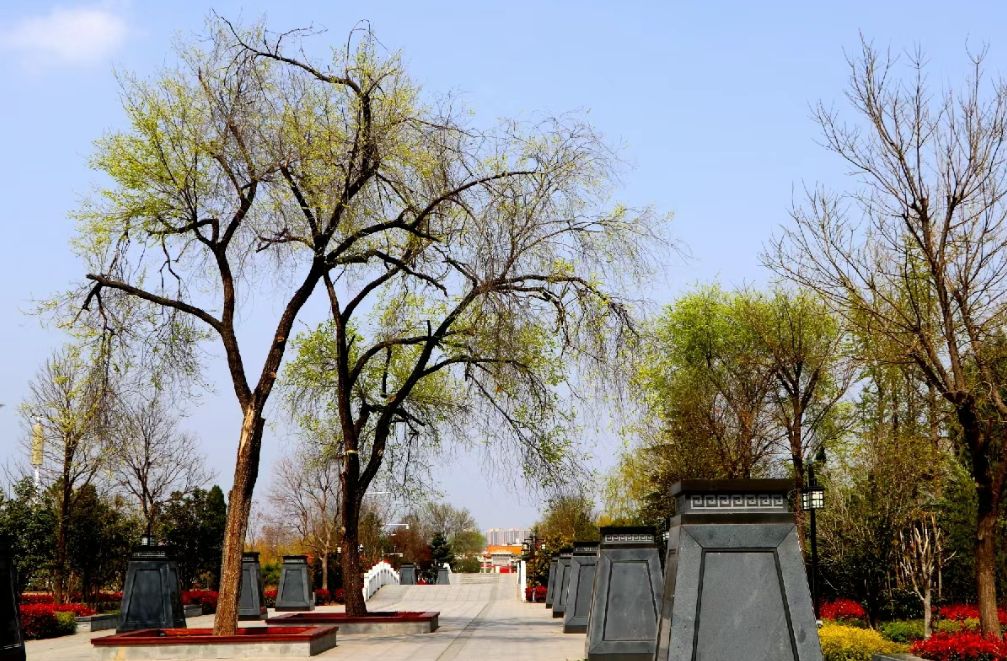 鹿邑县陈抟公园旅行图片 1