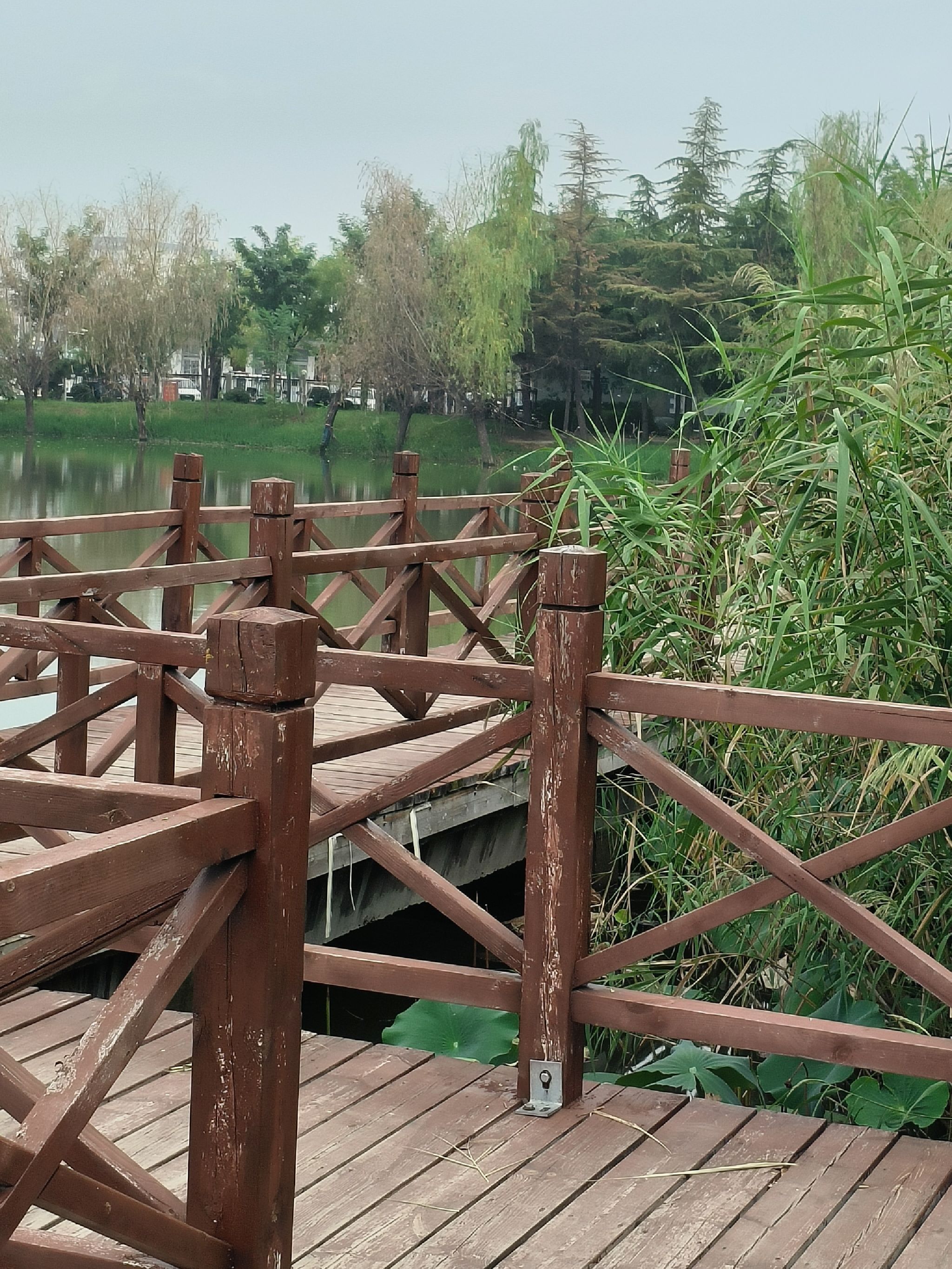 鹿邑县陈抟公园旅行图片 3