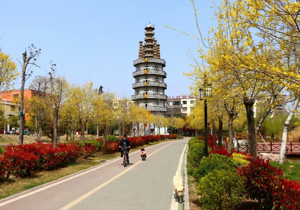 鹿邑县陈抟公园旅行图片 2