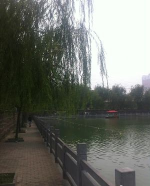 中华槐园旅行图片 1