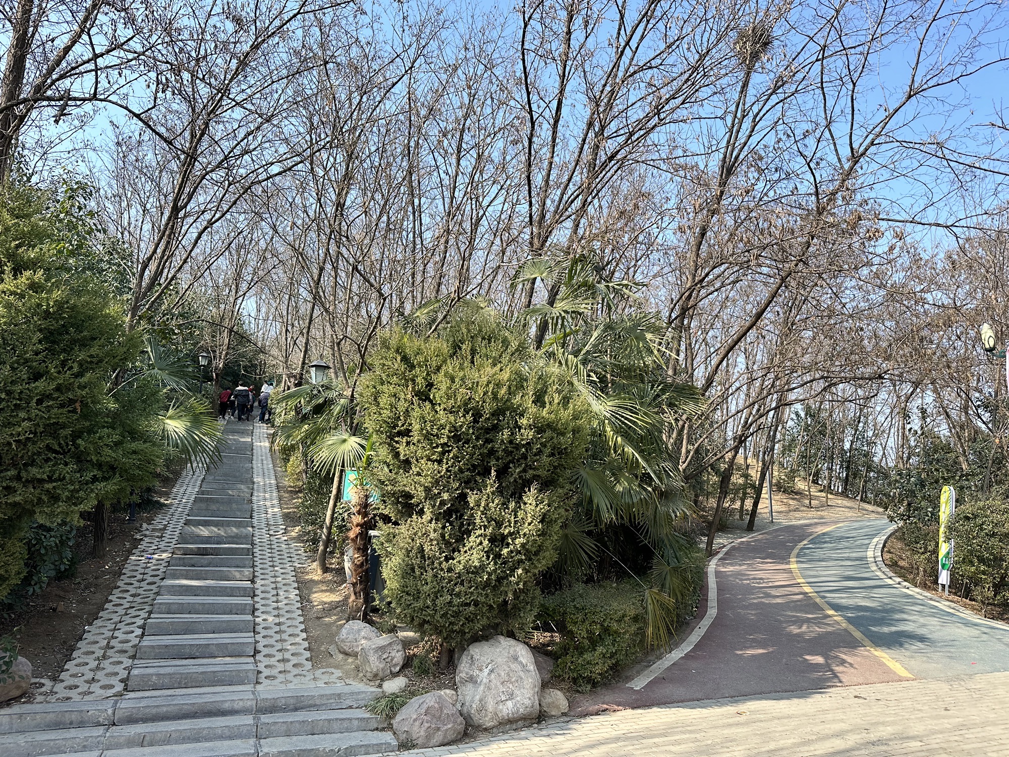 中华槐园旅行图片 3