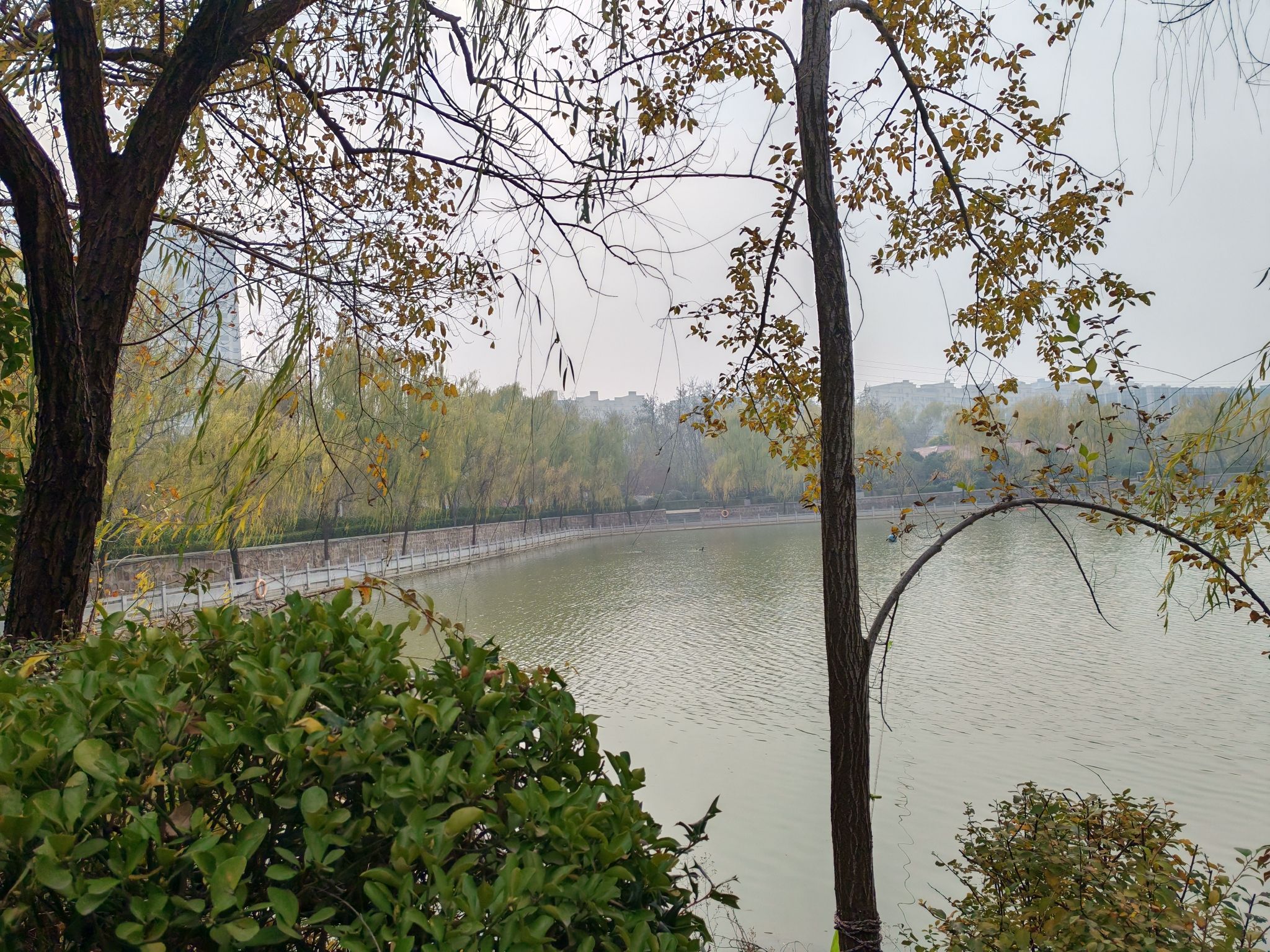 中华槐园旅行图片 2