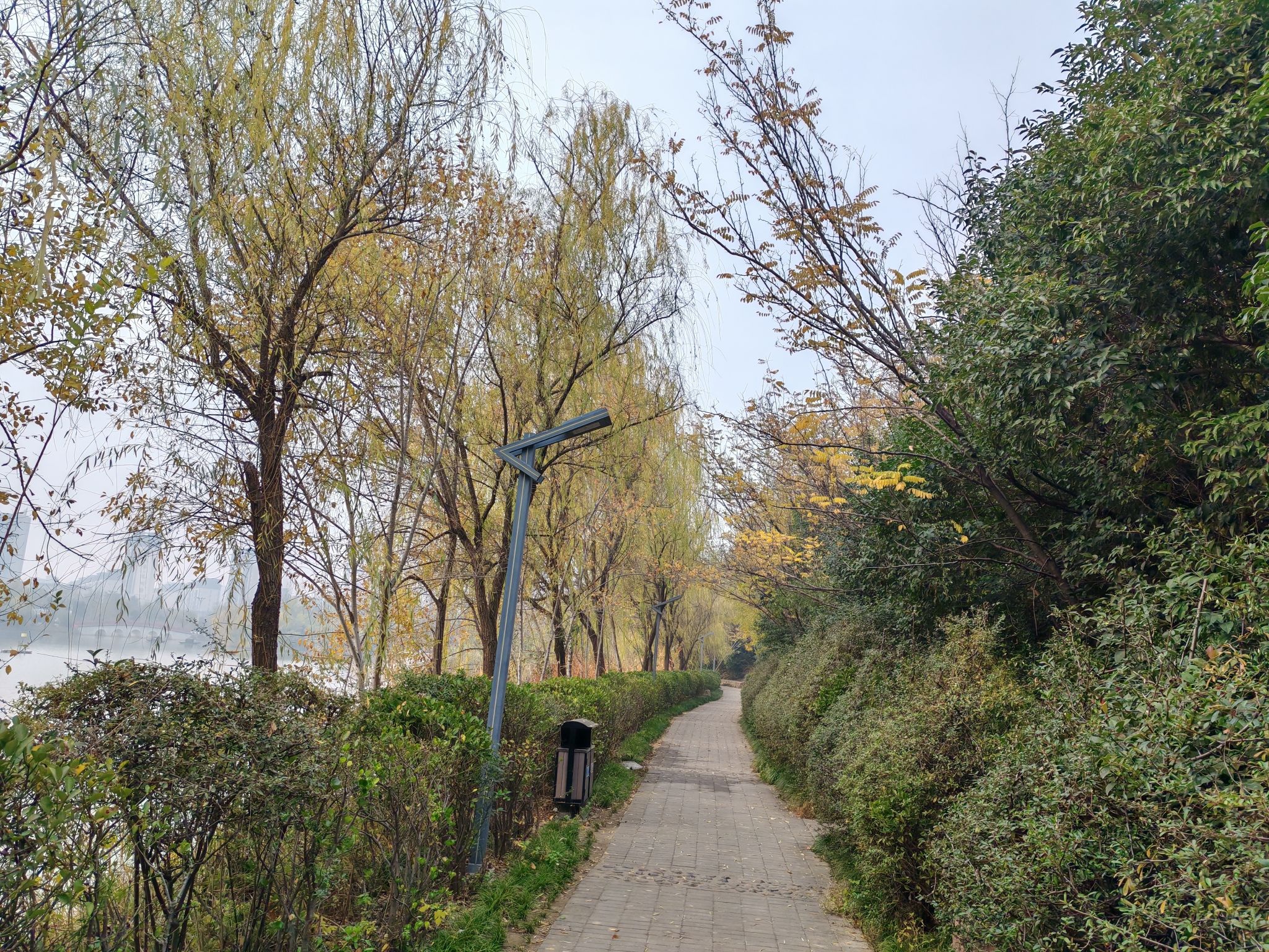 中华槐园旅行图片 3