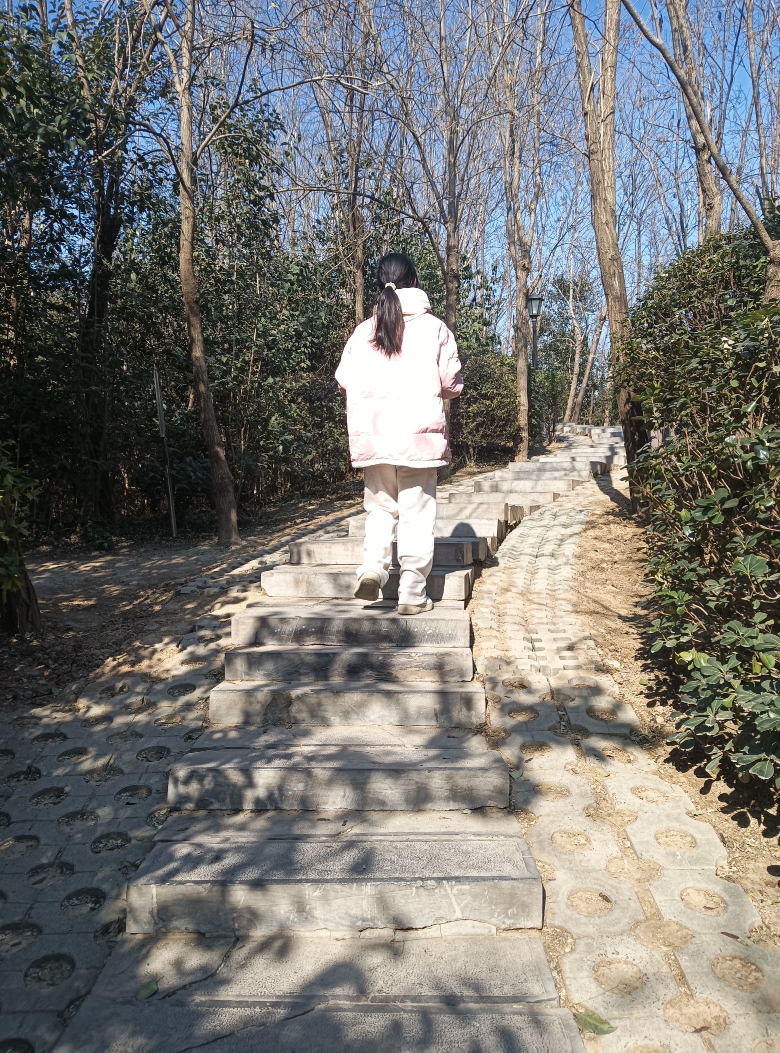 中华槐园旅行图片 3