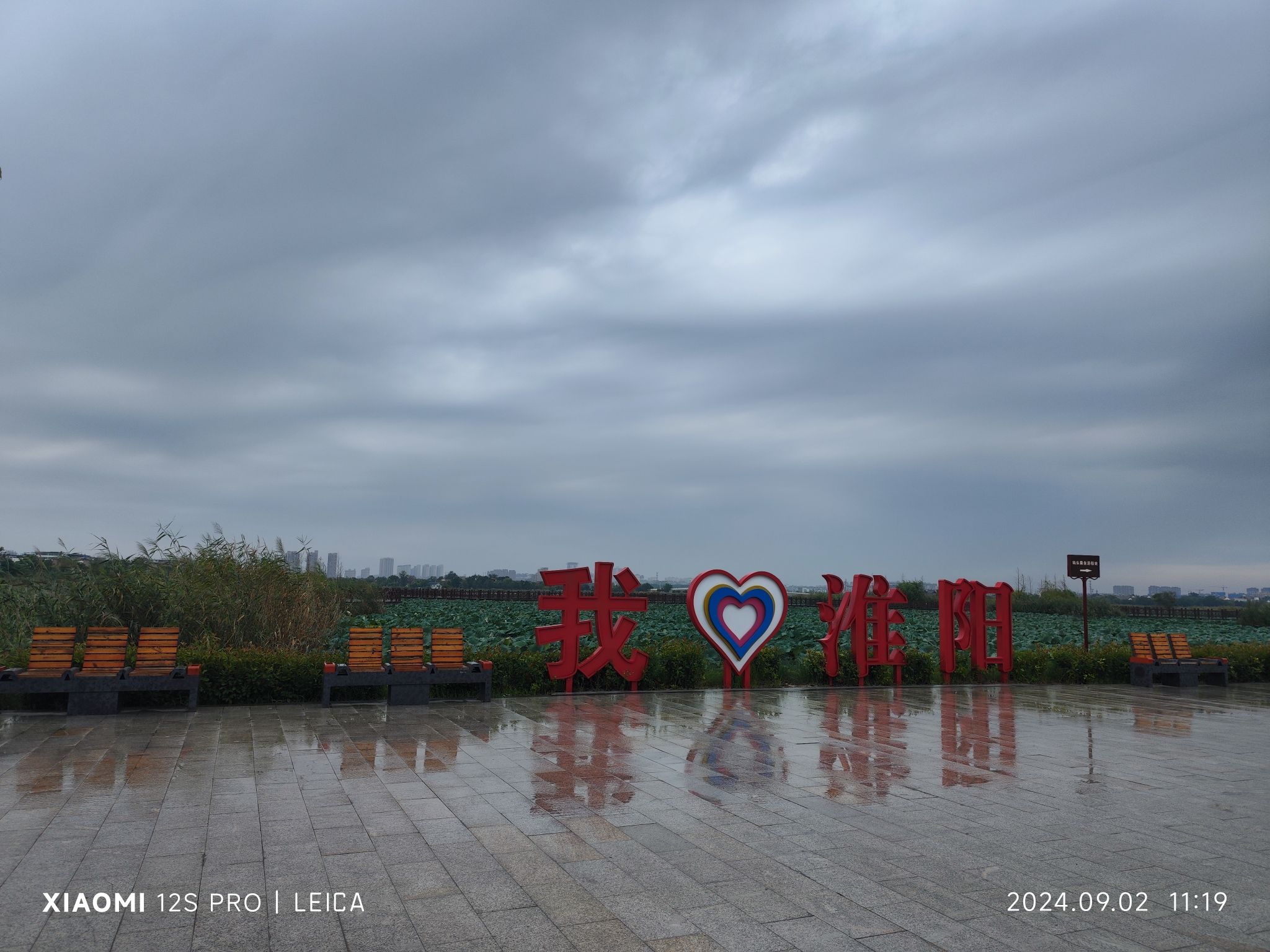 龙湖生态园旅行图片 2