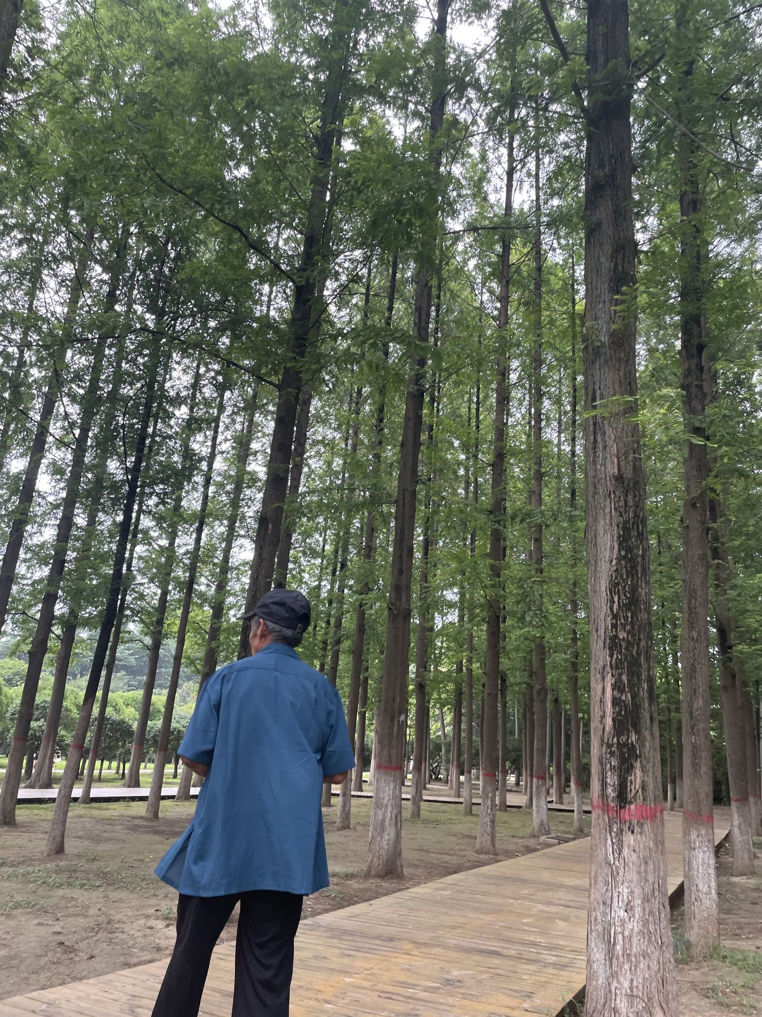 项城人民公园旅行图片 2