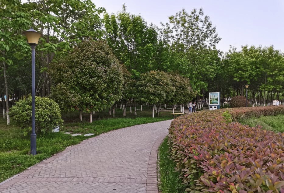项城人民公园旅行图片 1