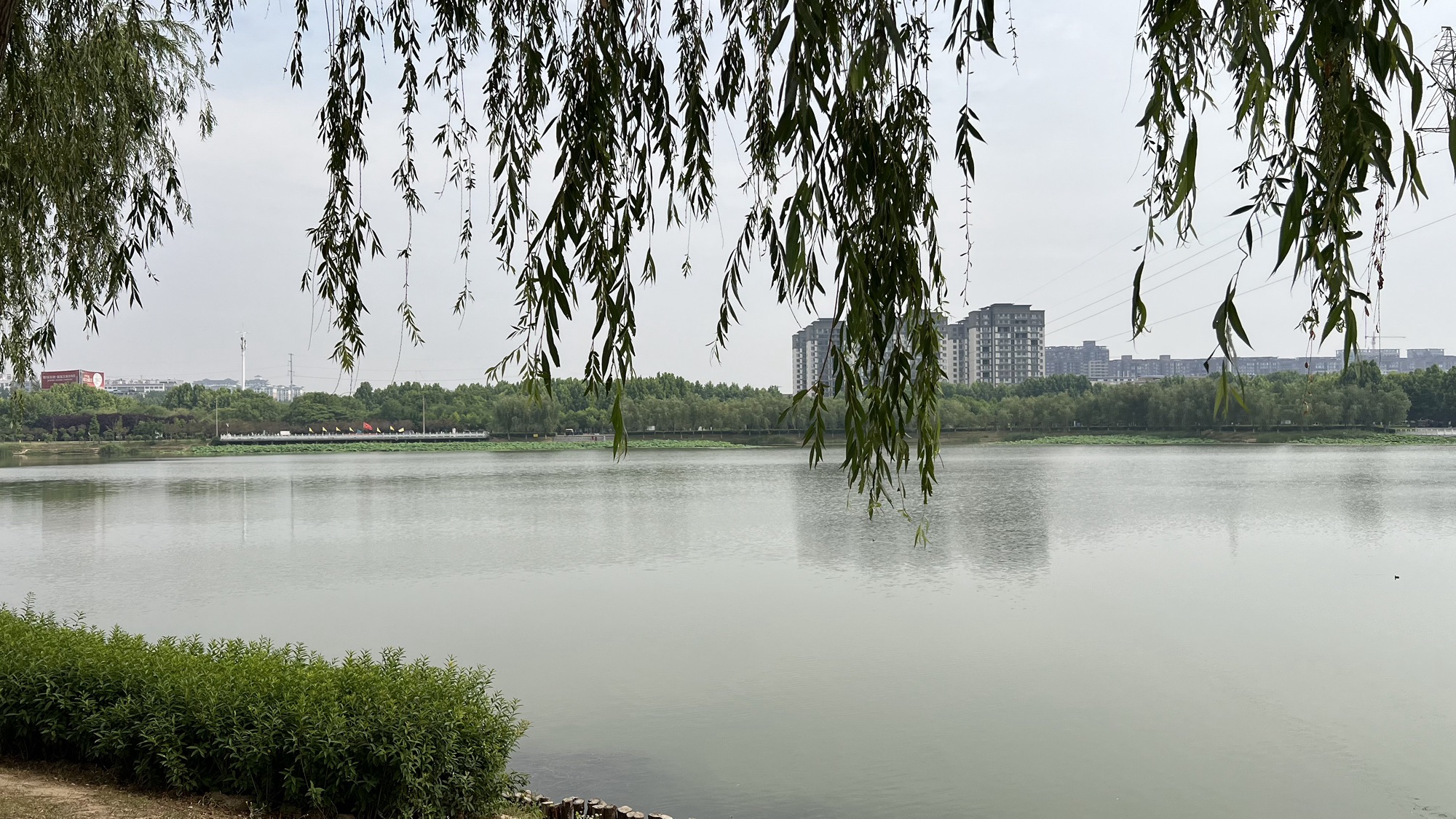 项城人民公园旅行图片 3