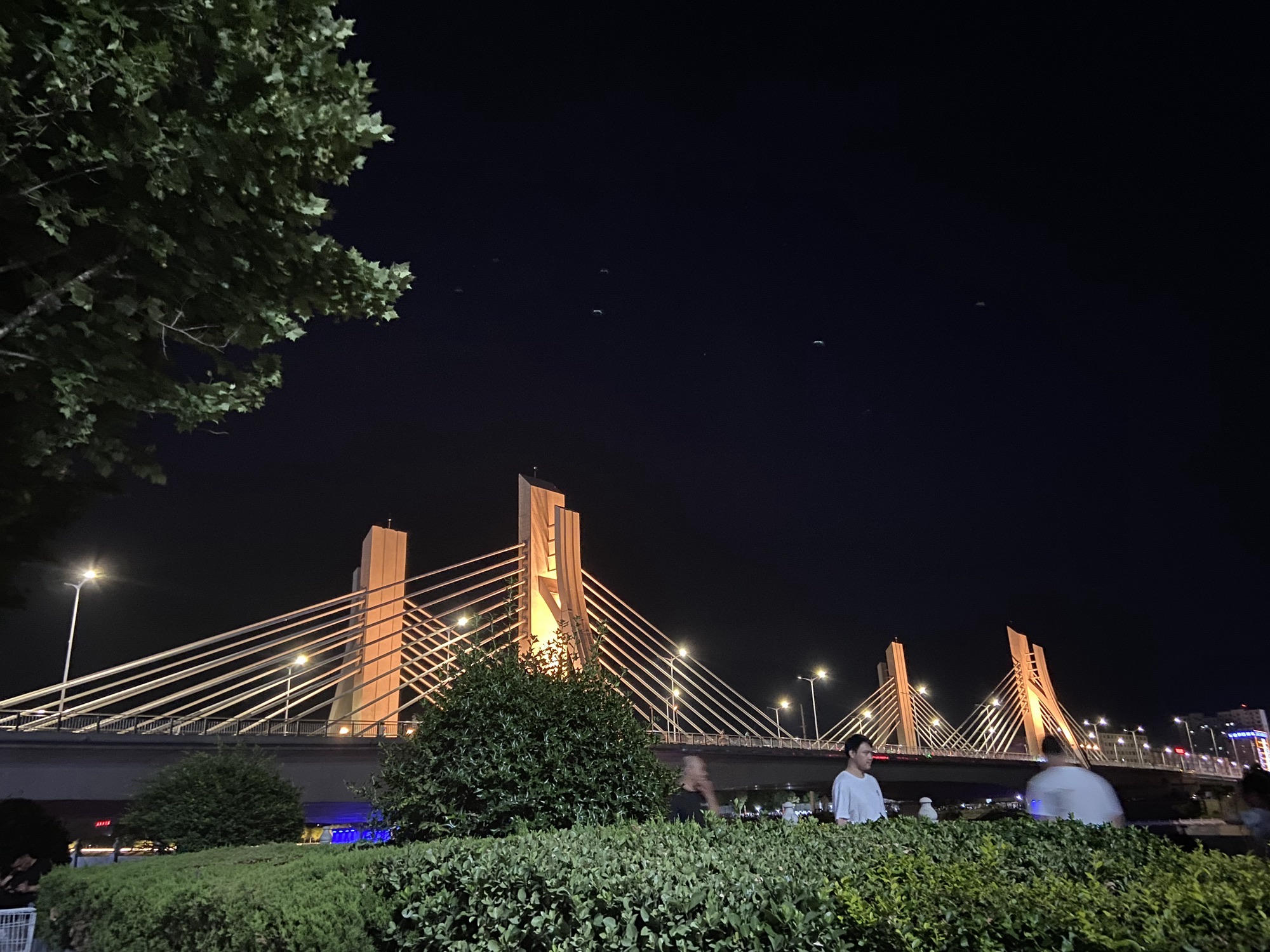 绿城公园旅行图片 1