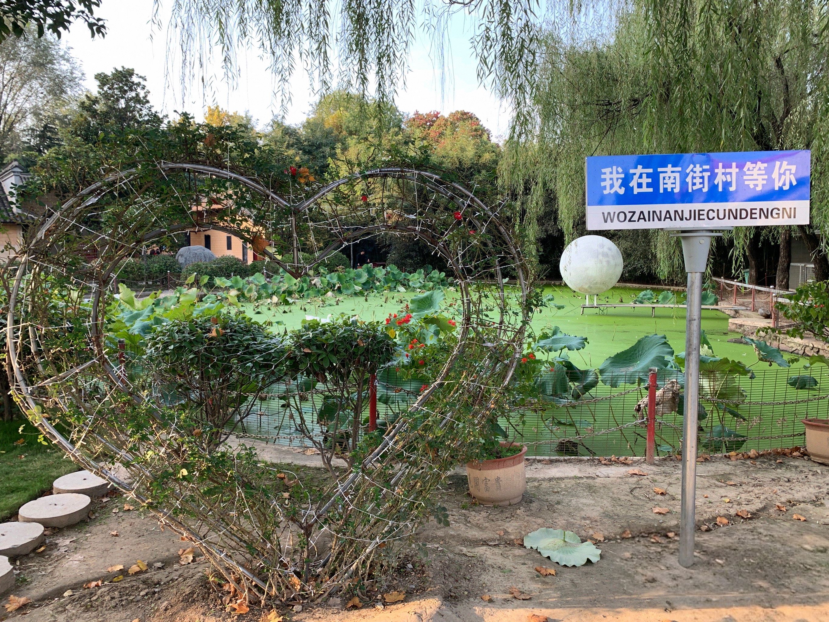 南街村景区旅行图片 3