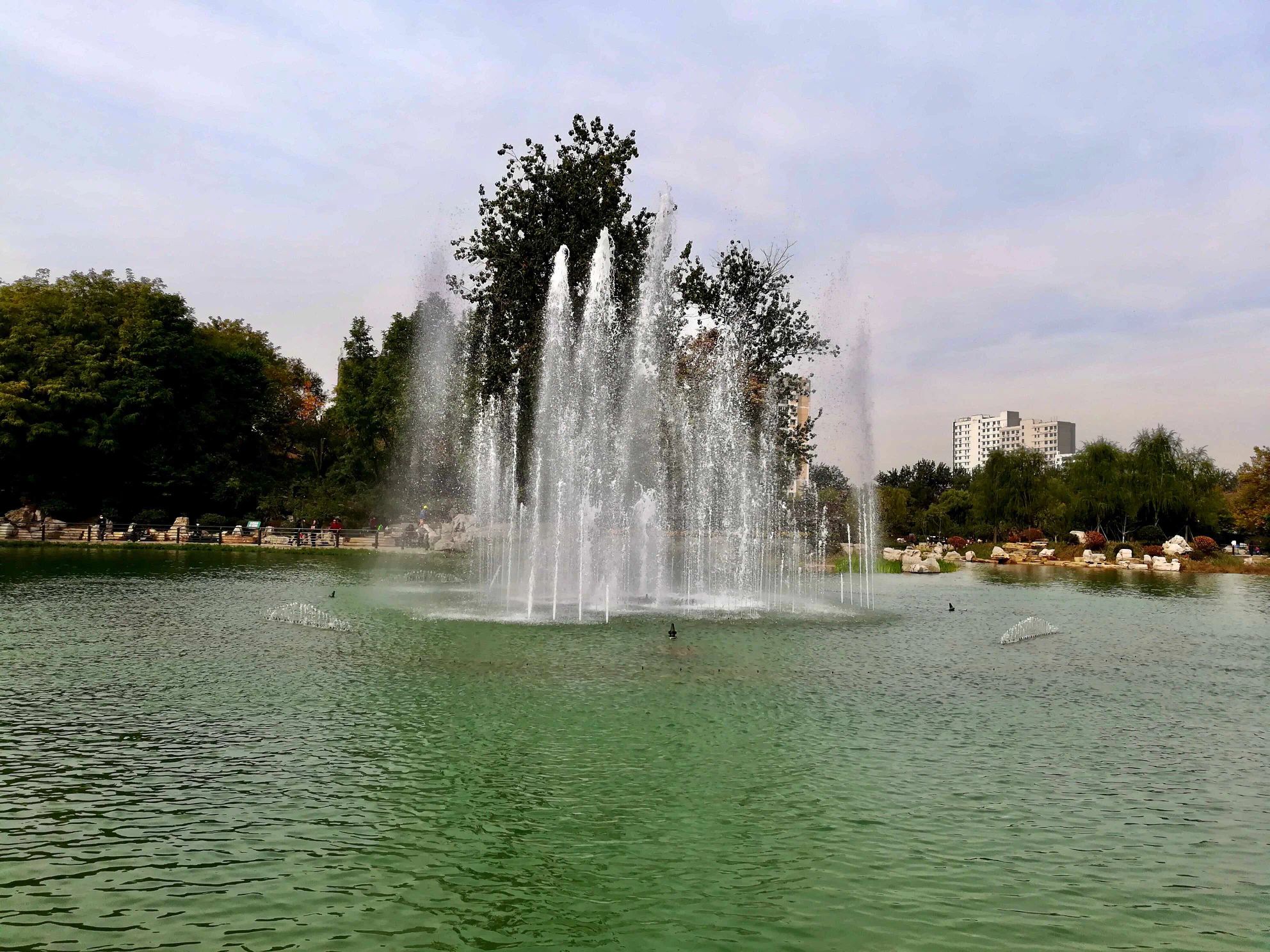 漯河市人民公园旅行图片 2