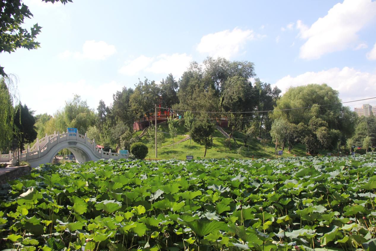 漯河市人民公园旅行图片 1