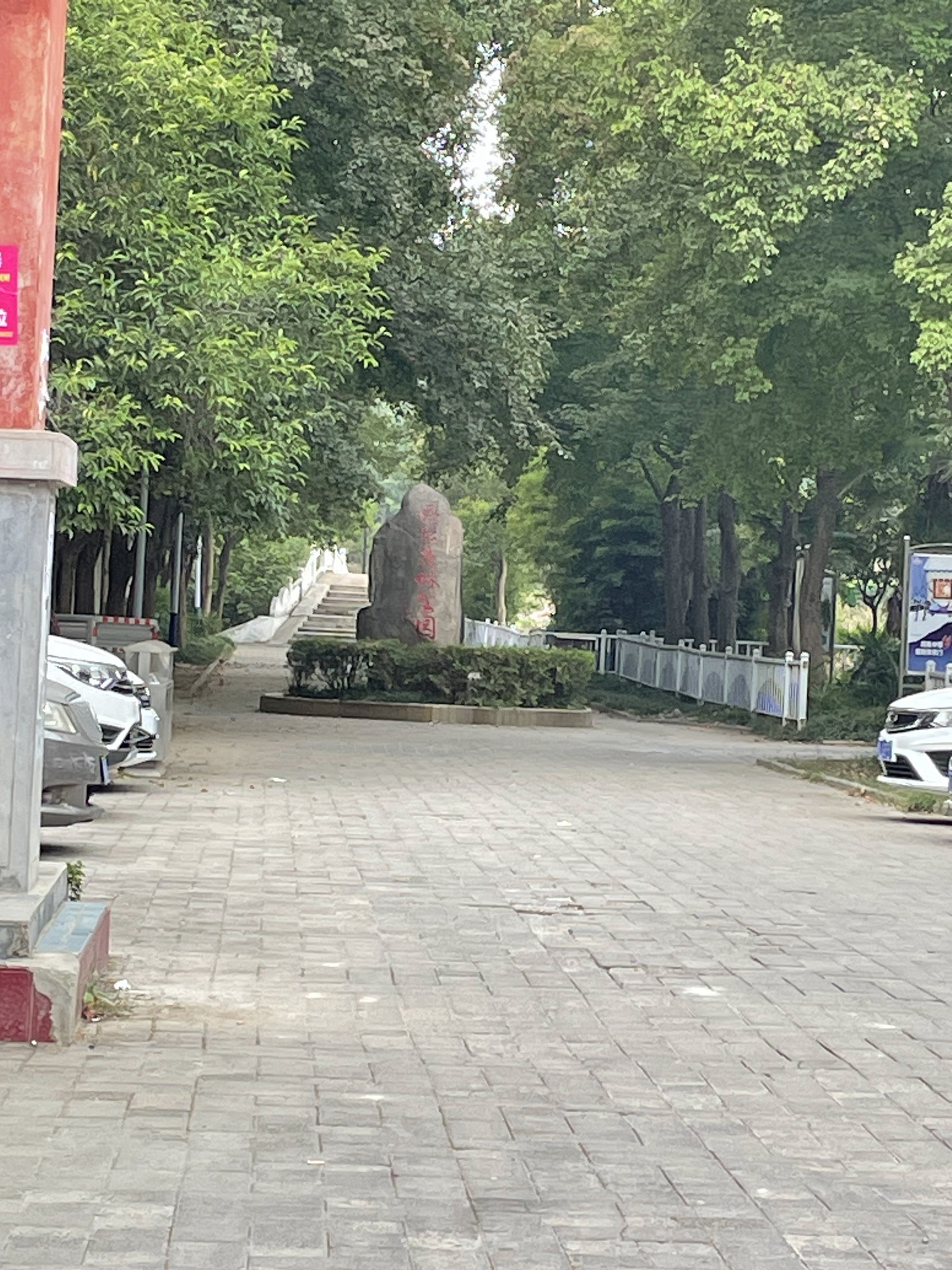 西城森林公园旅行图片 3