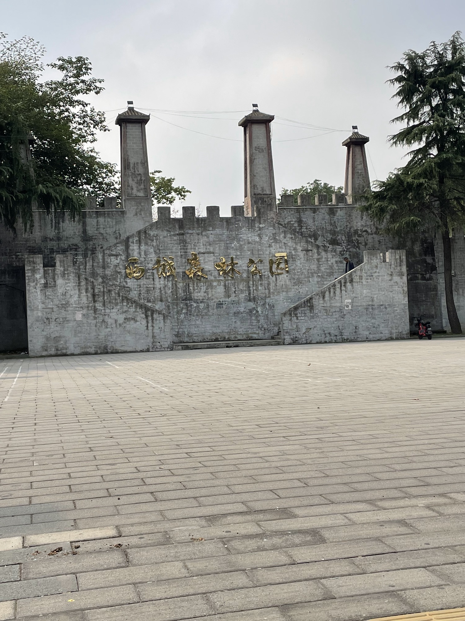 西城森林公园旅行图片 2